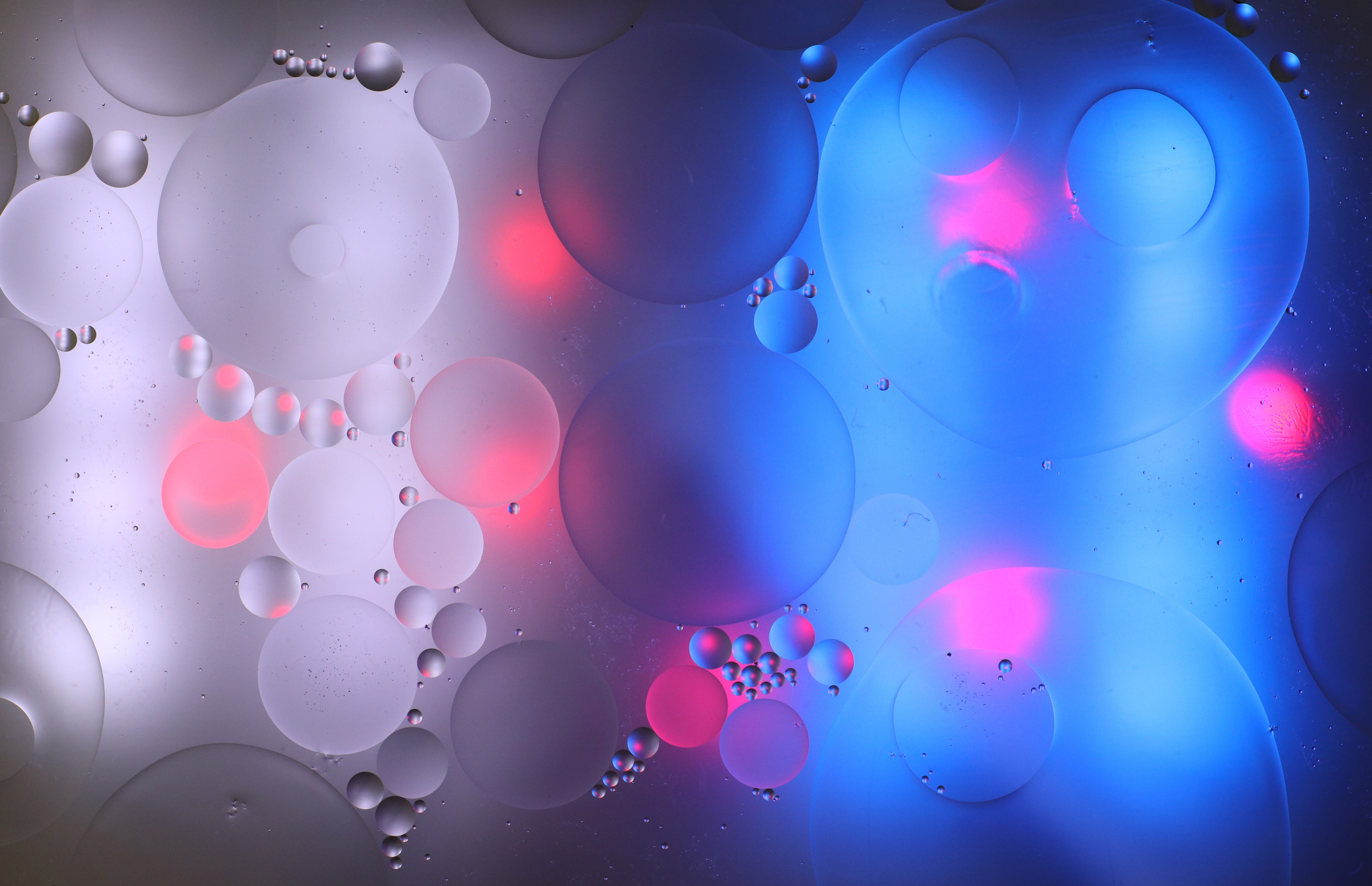 Free download wallpaper Water, Circles, Abstract, Bubbles, Gradient on your PC desktop