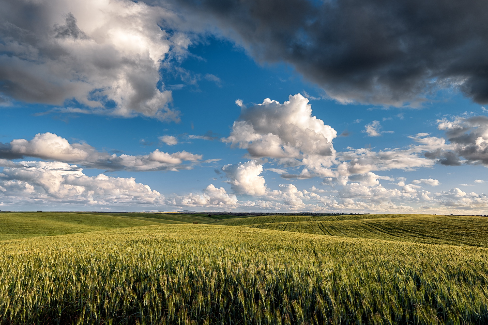 Free download wallpaper Landscape, Nature, Summer, Wheat, Earth, Field, Cloud on your PC desktop