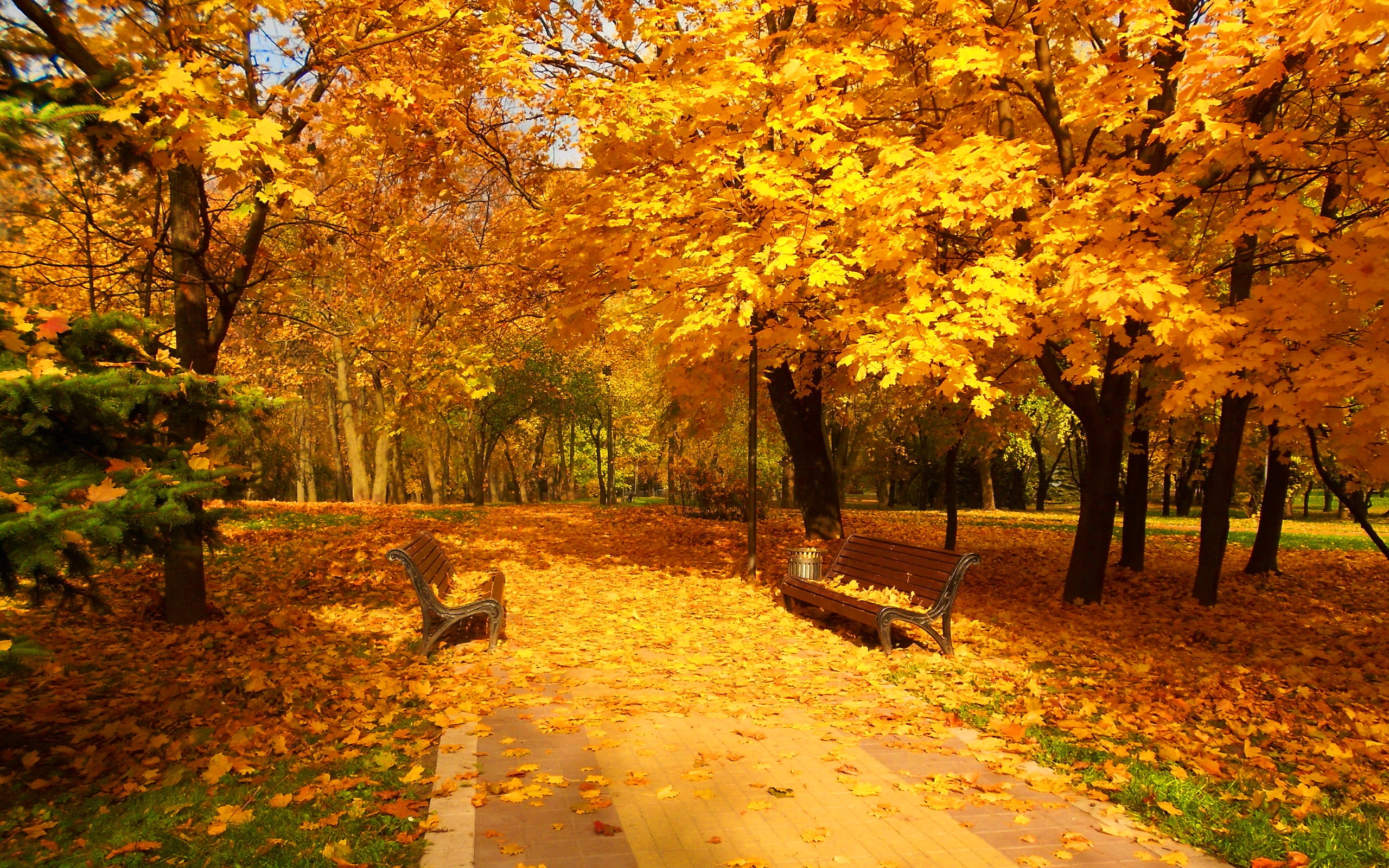 Free download wallpaper Park, Fall, Bench, Man Made on your PC desktop