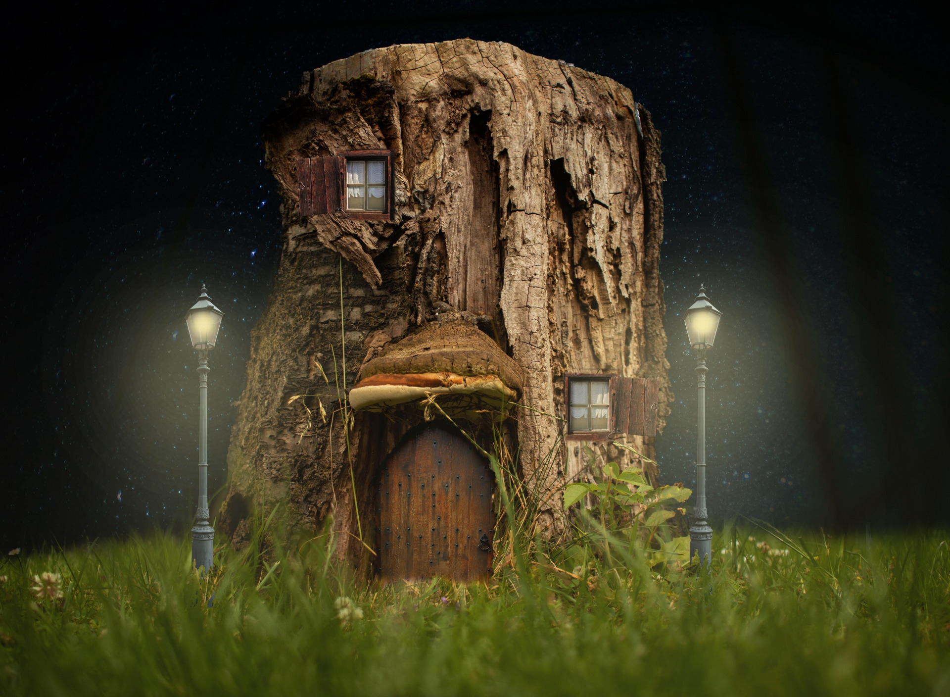 fantasy, house, door, stump