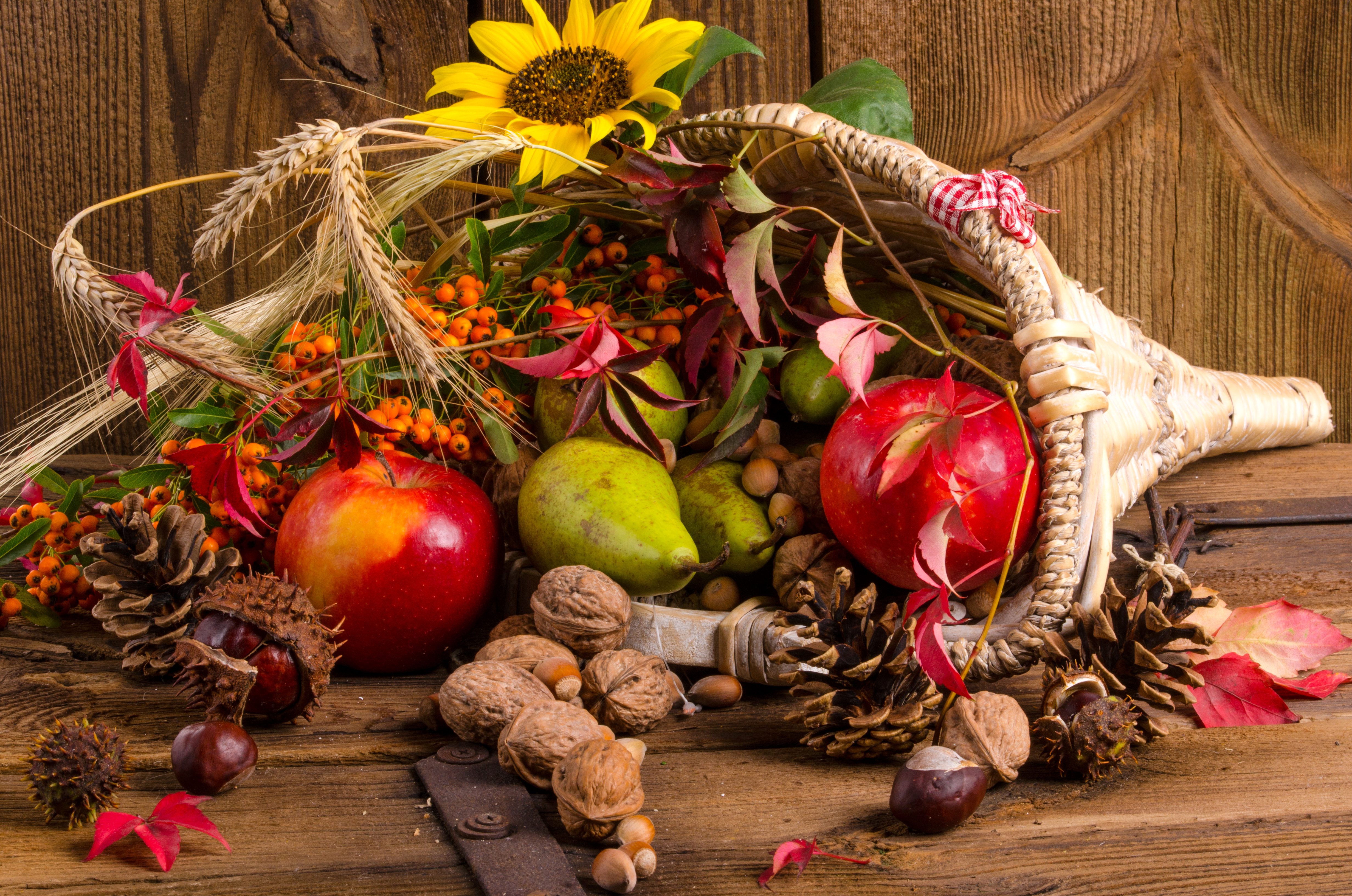 Laden Sie das Herbst, Apfel, Nuss, Birne, Nahrungsmittel, Stillleben-Bild kostenlos auf Ihren PC-Desktop herunter