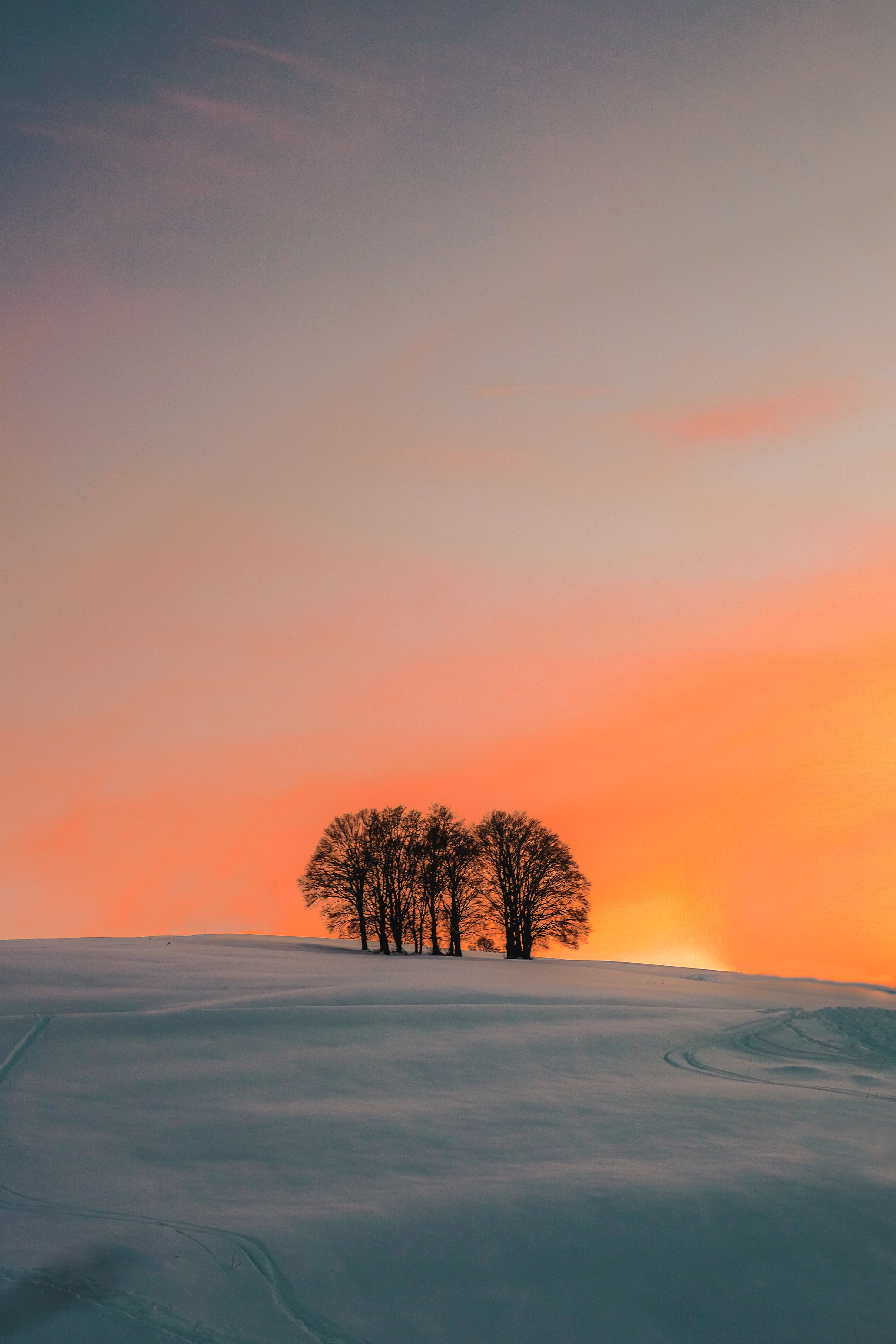 Download mobile wallpaper Field, Snow, Nature, Trees, Sunset, Winter for free.