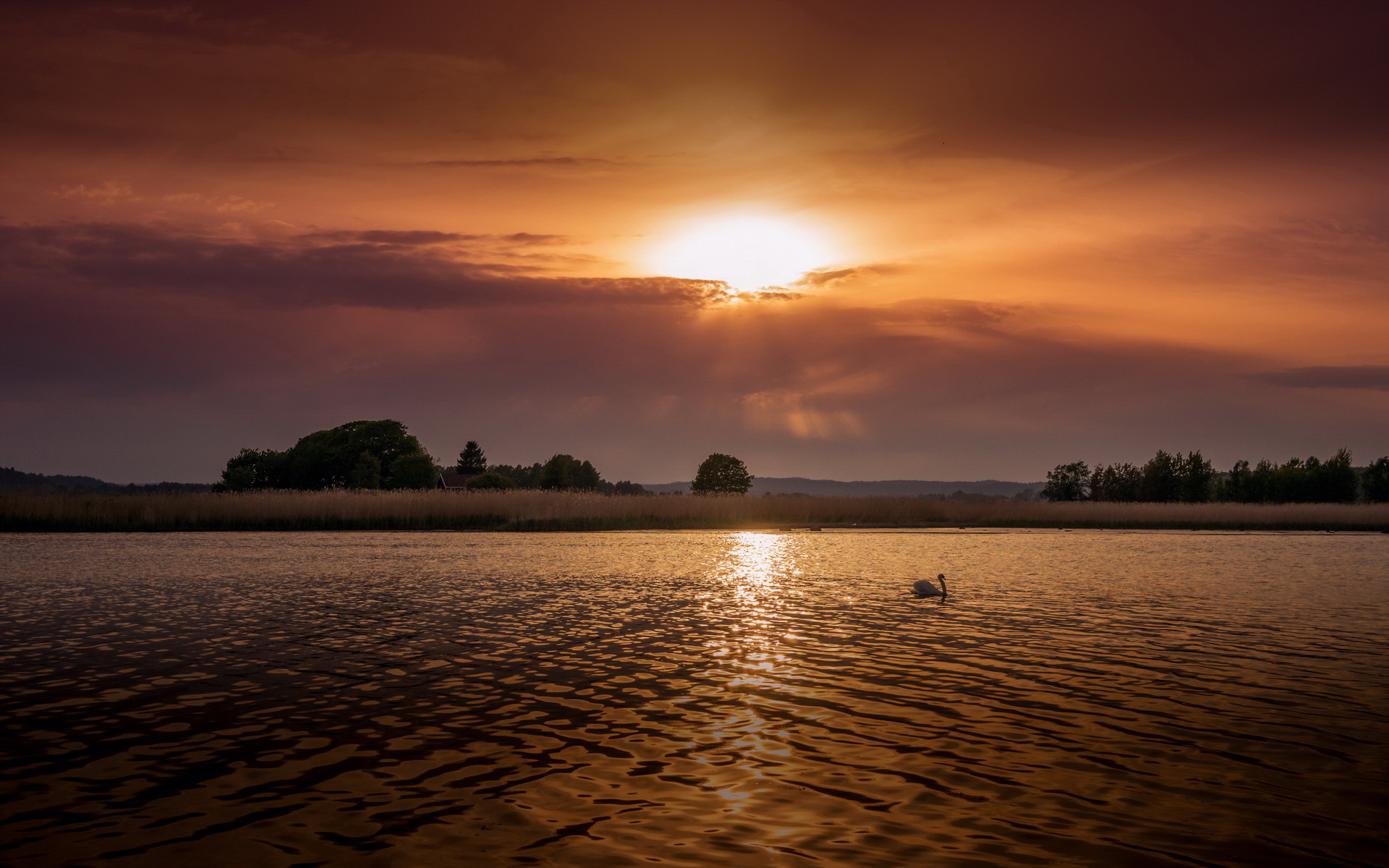 Téléchargez des papiers peints mobile Coucher De Soleil, Terre/nature gratuitement.