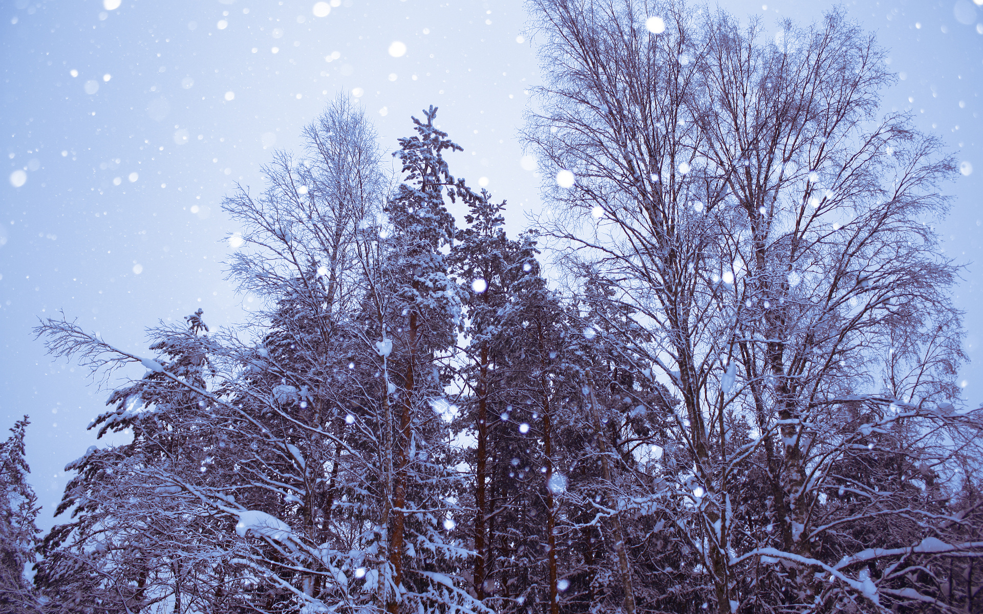 Скачати мобільні шпалери Зима, Земля безкоштовно.