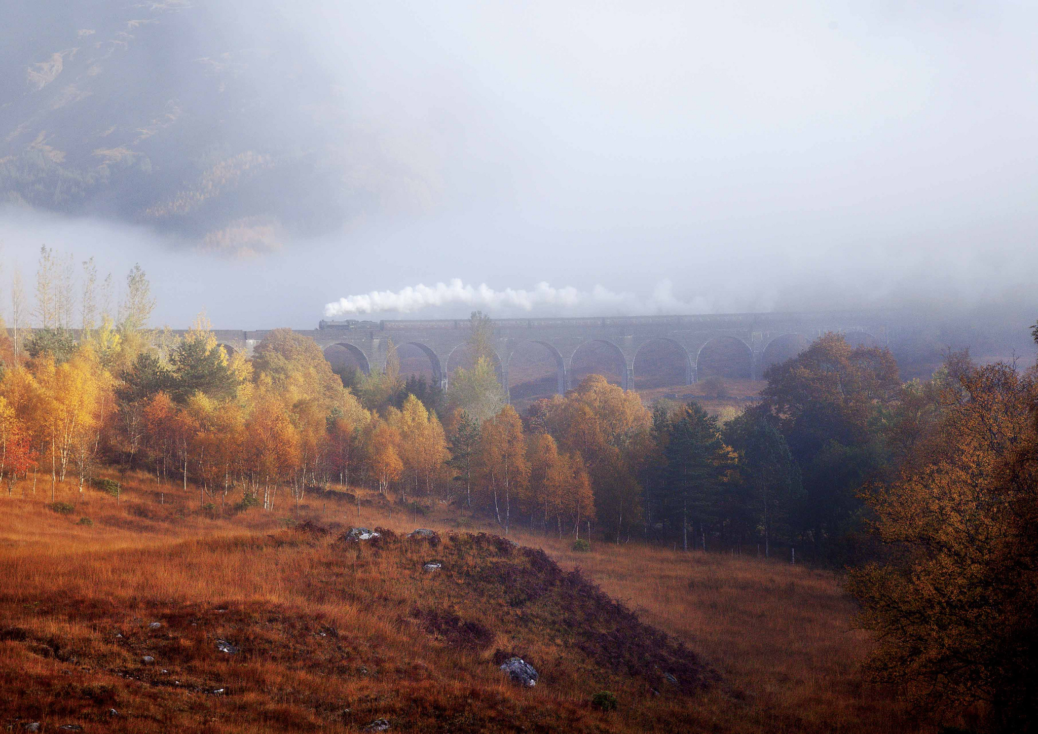 Download mobile wallpaper Landscape, Fog, Bridge, Train, Vehicles for free.