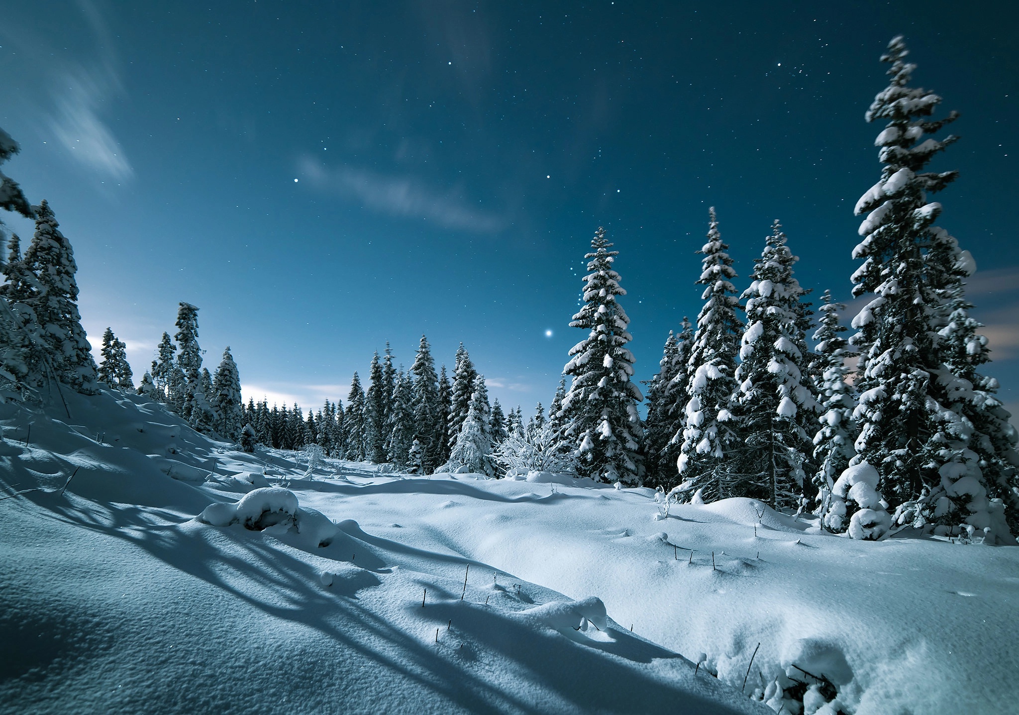 Laden Sie das Winter, Schnee, Erde/natur-Bild kostenlos auf Ihren PC-Desktop herunter