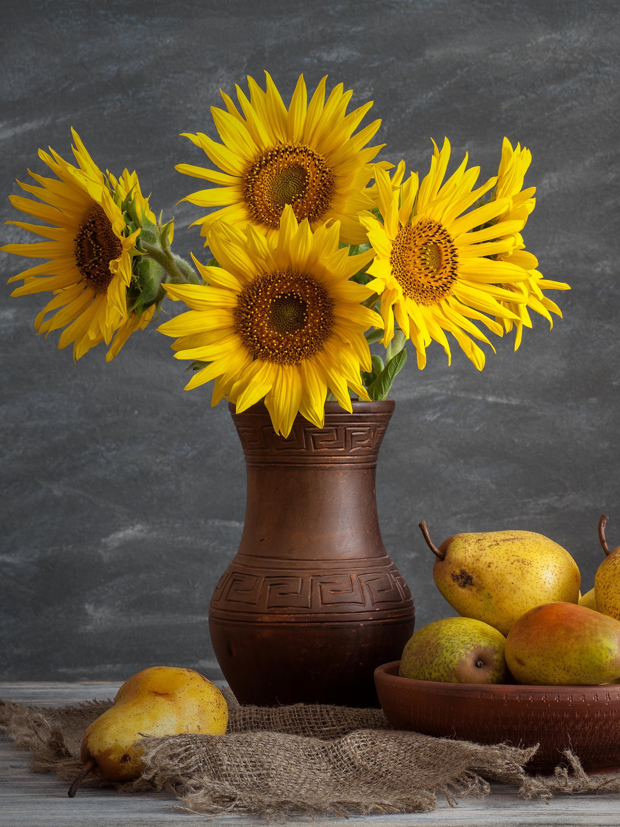 Handy-Wallpaper Obst, Blume, Frucht, Vase, Sonnenblume, Fotografie, Birne, Gelbe Blume, Stillleben kostenlos herunterladen.