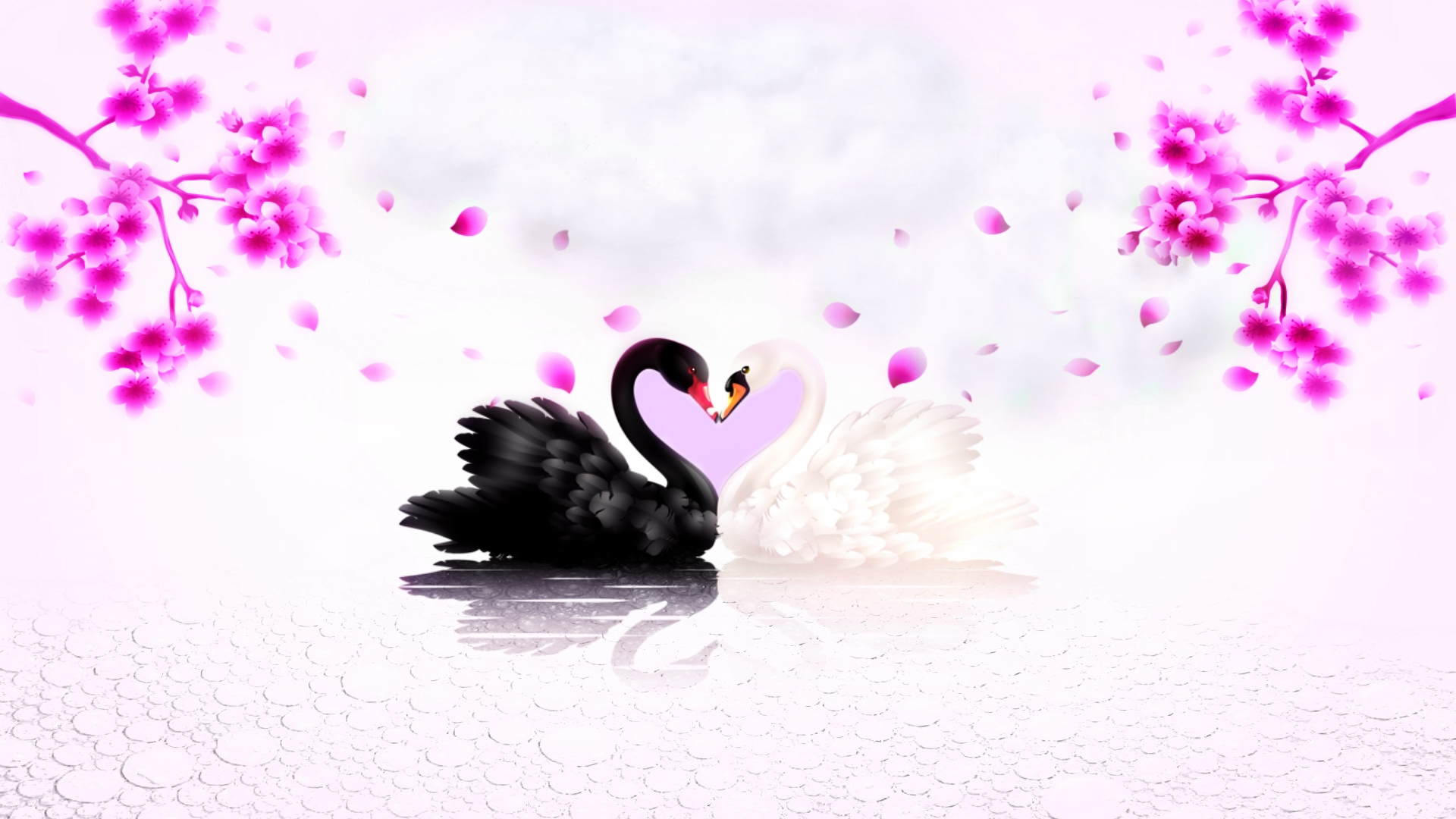 Free download wallpaper Birds, Love, Animal, Swan on your PC desktop
