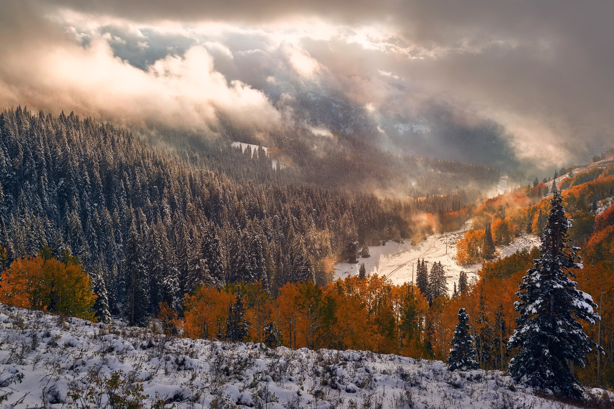 Laden Sie das Landschaft, Winter, Natur, Wald, Wolke, Erde/natur-Bild kostenlos auf Ihren PC-Desktop herunter