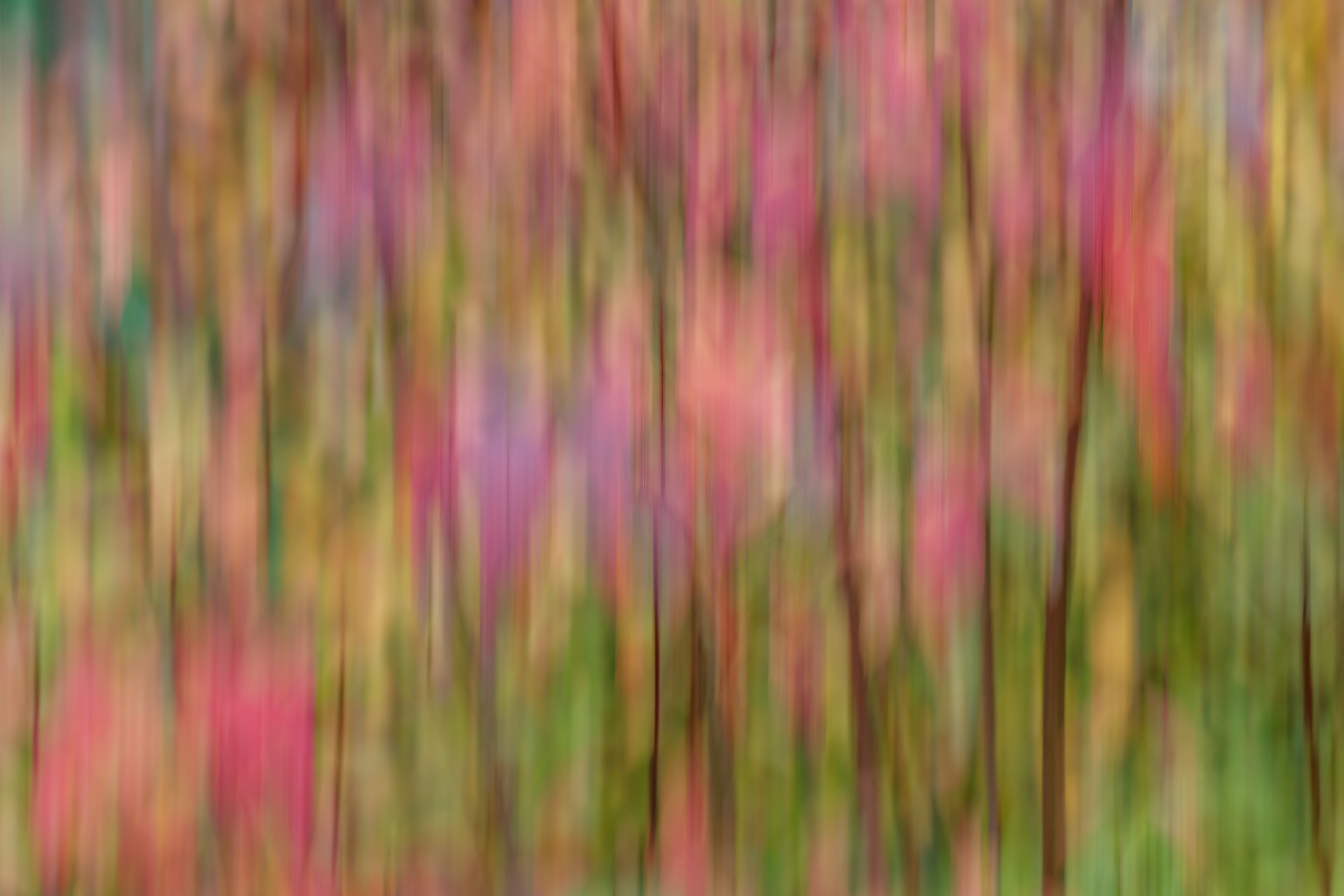vertical wallpaper abstract, ripples, ripple, multicolored, motley, blur, smooth