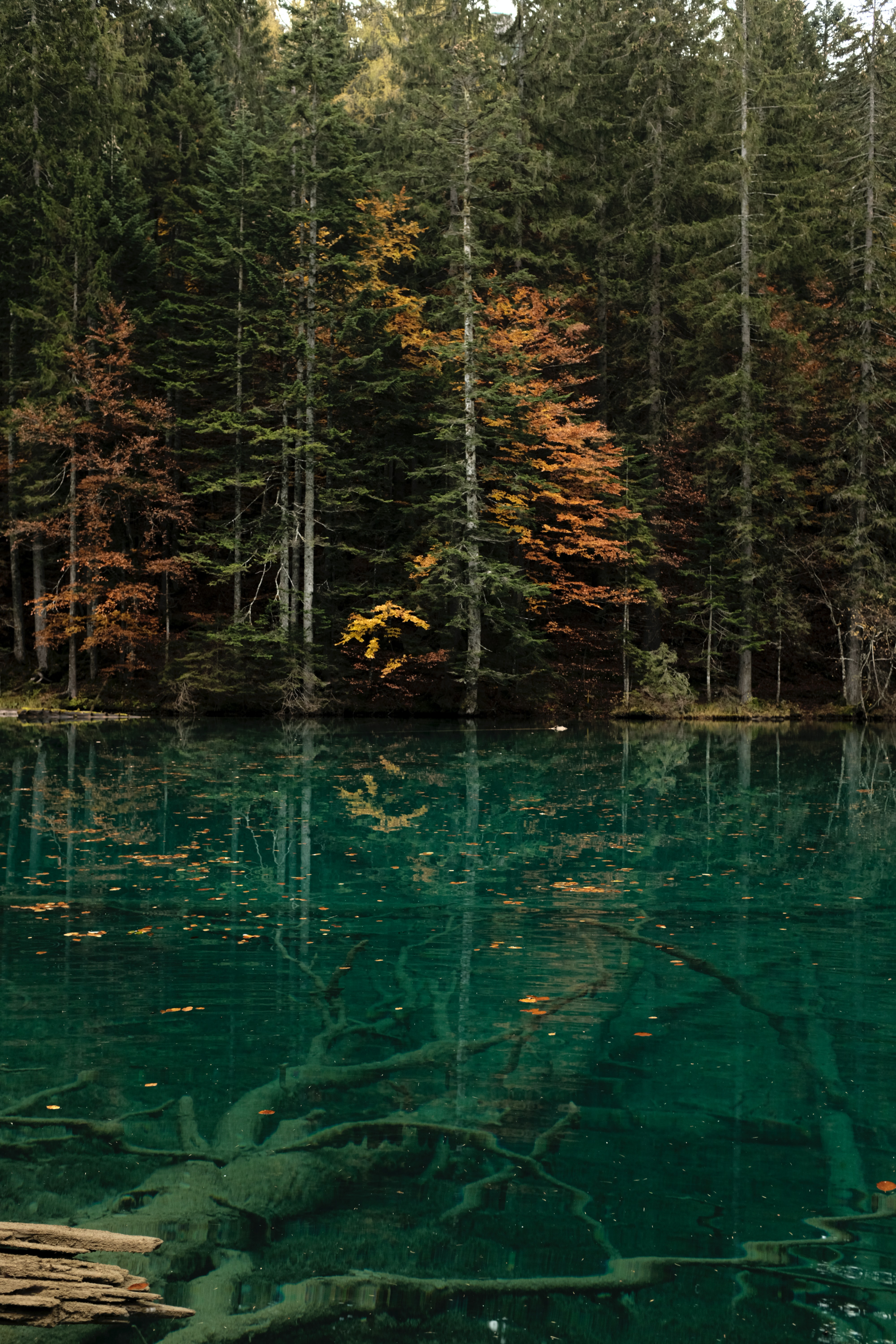 Free download wallpaper Lake, Shore, Bank, Forest, Nature, Water, Trees on your PC desktop