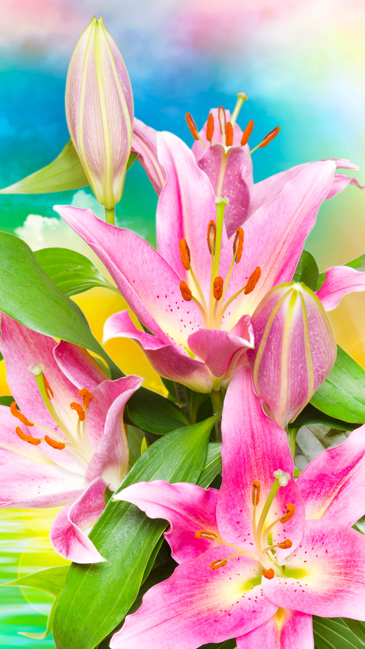 Handy-Wallpaper Blumen, Blume, Farben, Bunt, Lilie, Wolke, Sonnenstrahl, Künstlerisch, Pinke Blume, Sonnenbohne kostenlos herunterladen.