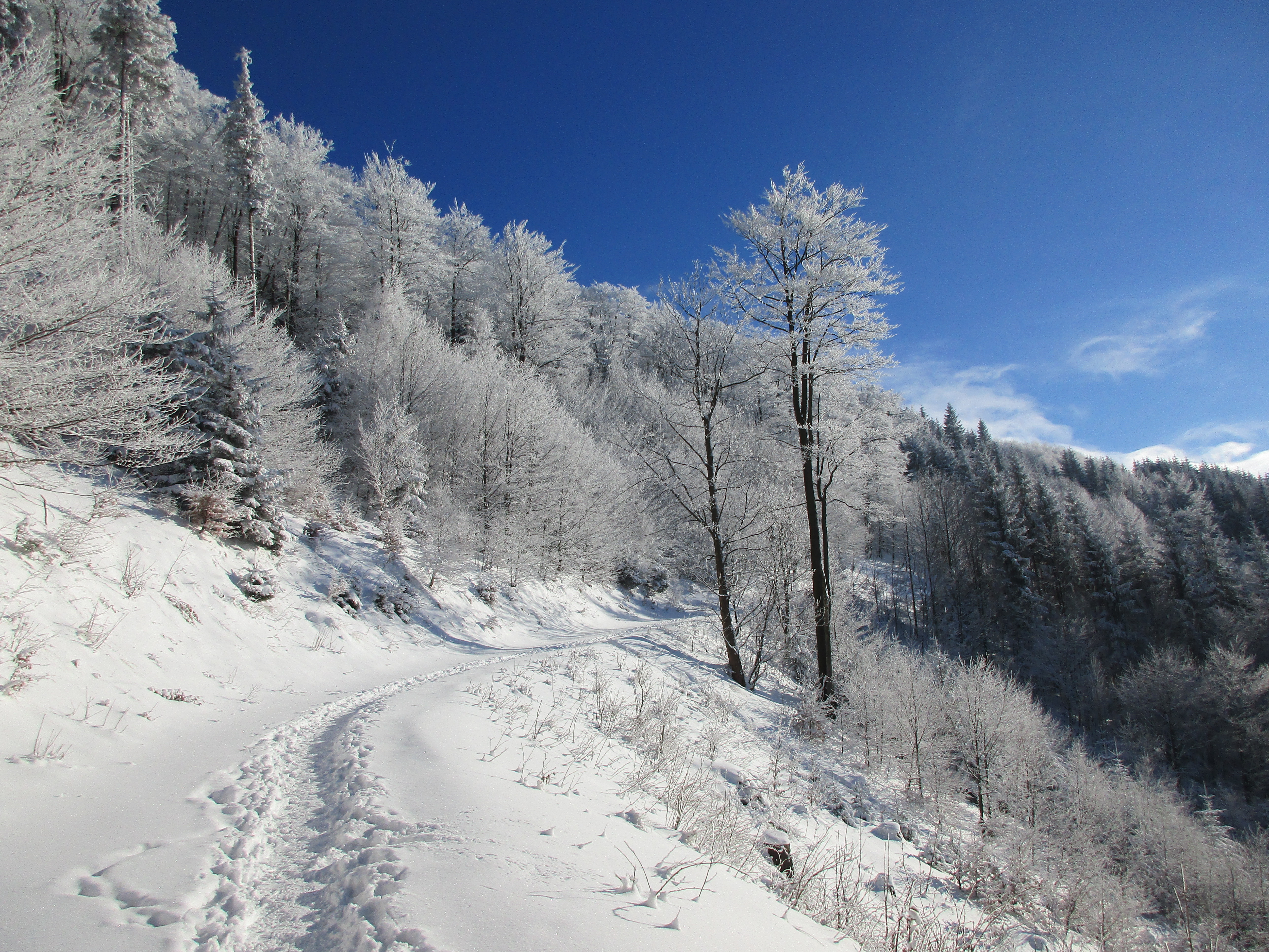 Descarga gratuita de fondo de pantalla para móvil de Invierno, Tierra/naturaleza.