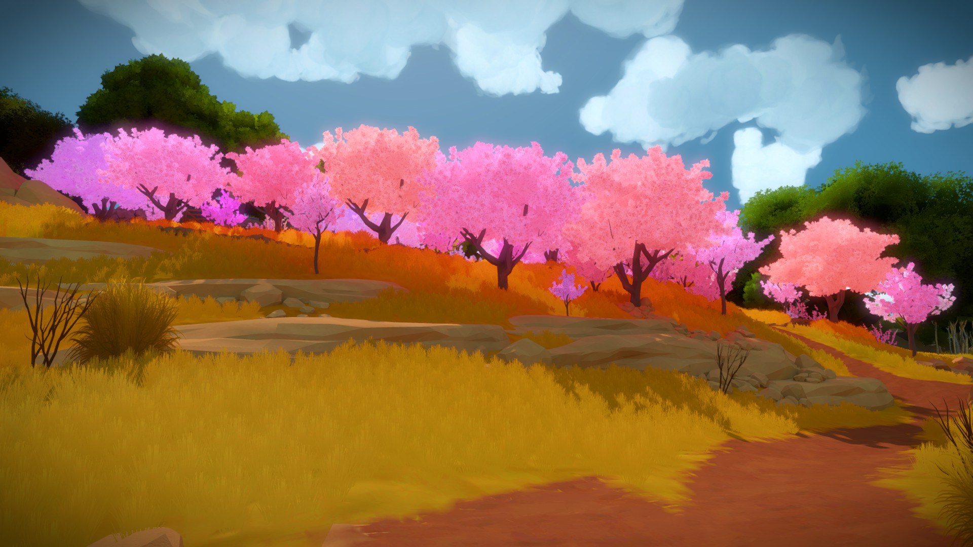 Free download wallpaper Video Game, The Witness on your PC desktop