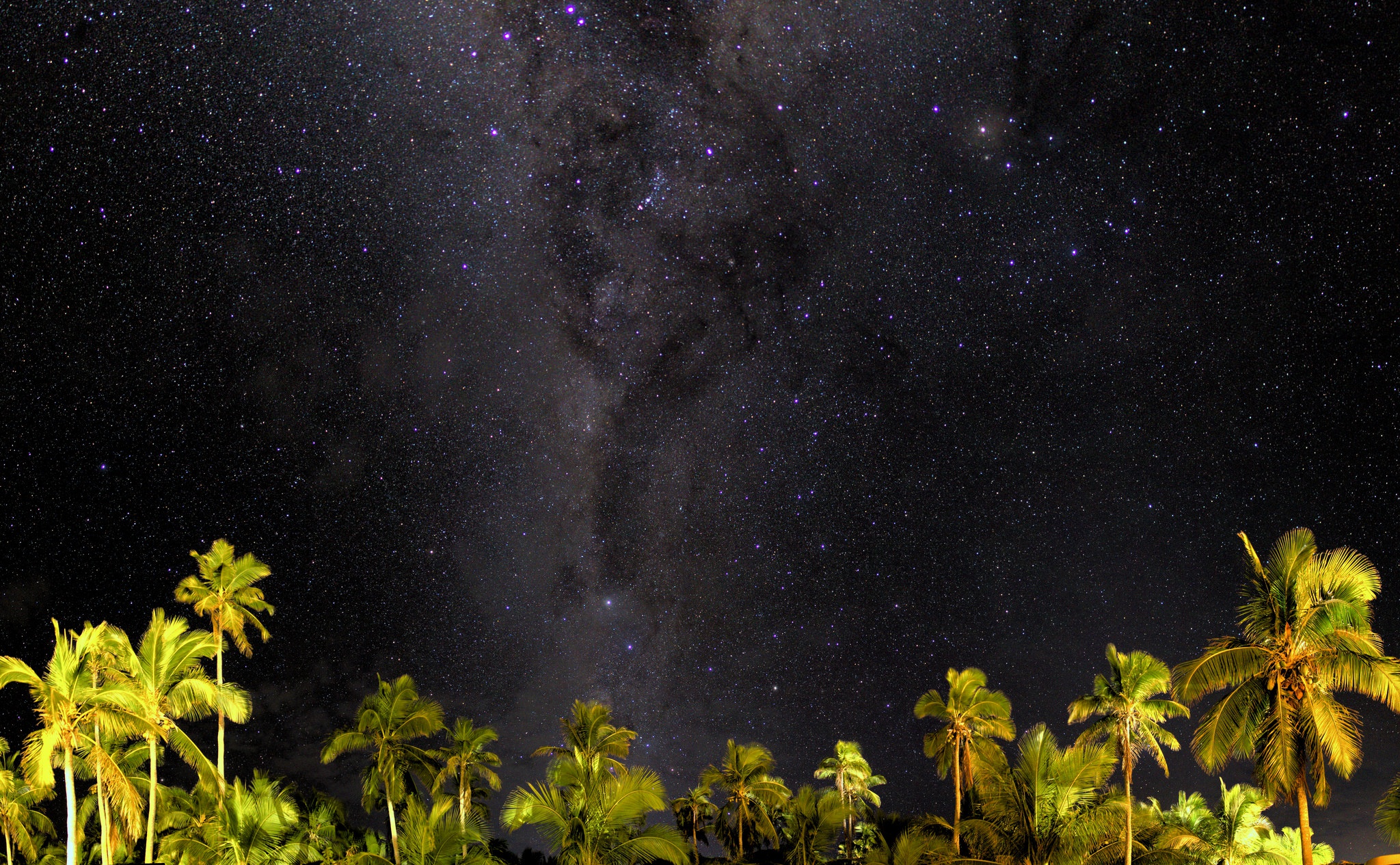 Download mobile wallpaper Sky, Stars, Night, Starry Sky, Earth, Milky Way, Palm Tree for free.