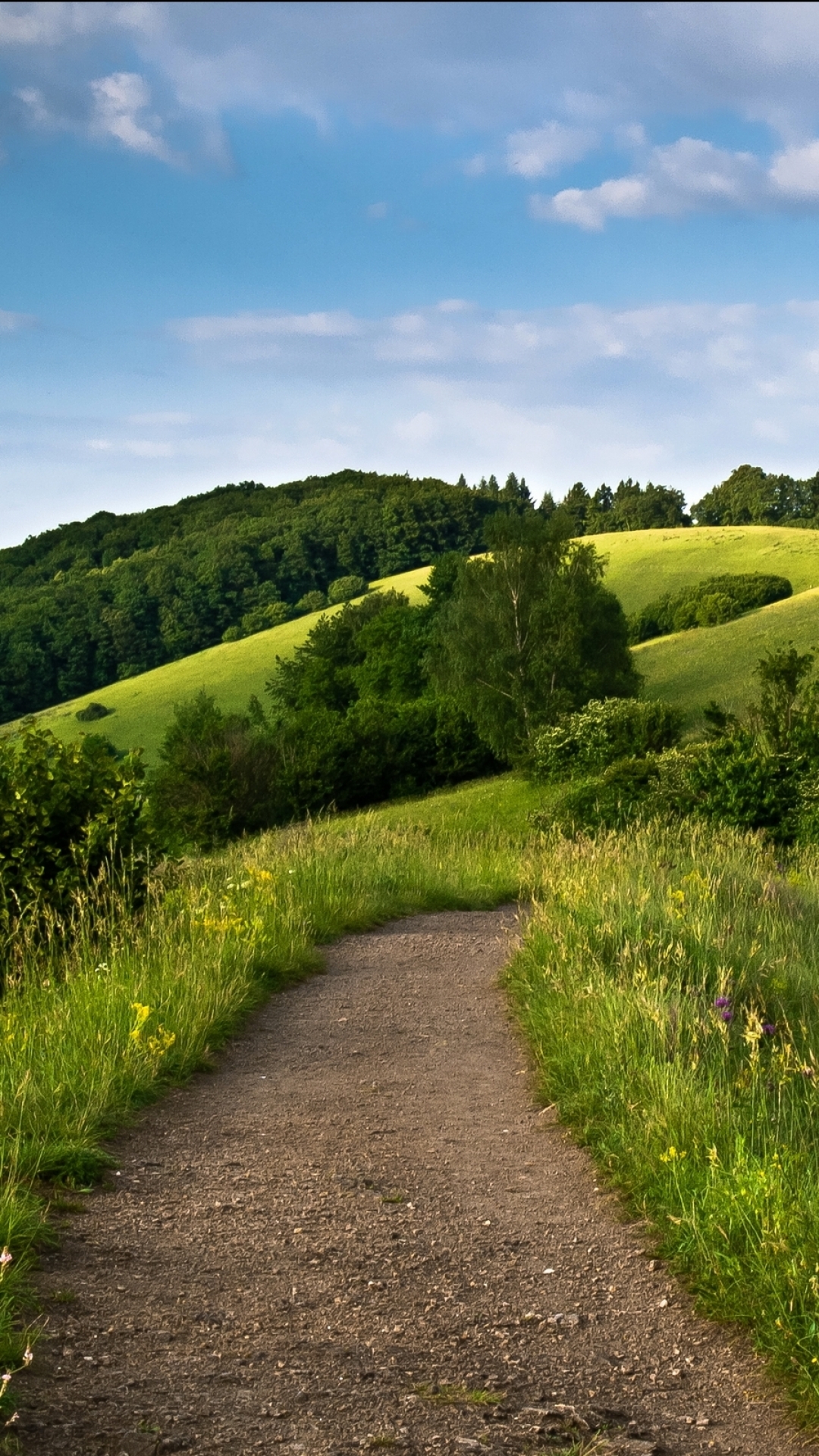 Download mobile wallpaper Landscape, Nature, Grass, Forest, Path, Hill, Man Made for free.