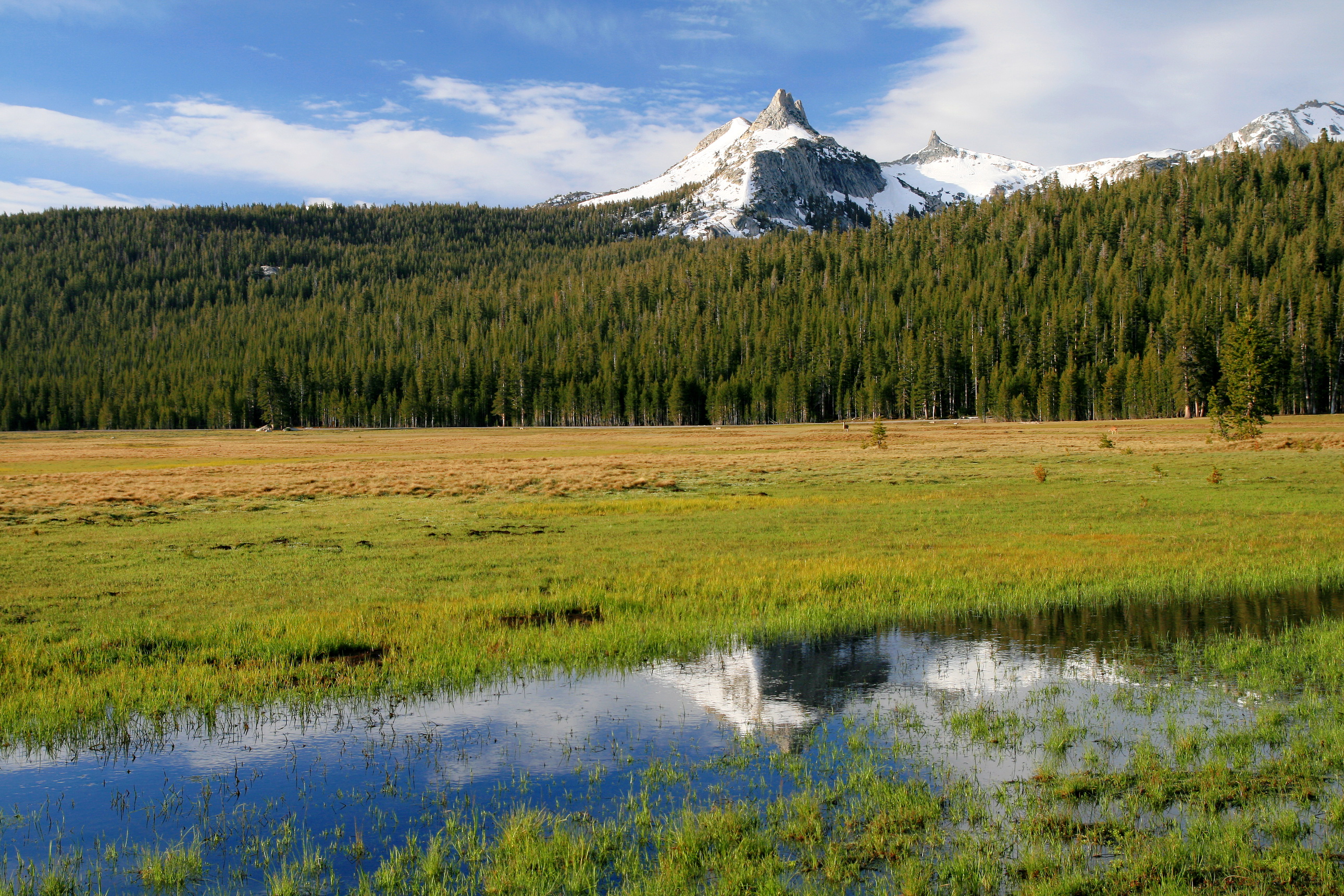 Téléchargez gratuitement l'image Paysage, Terre/nature sur le bureau de votre PC