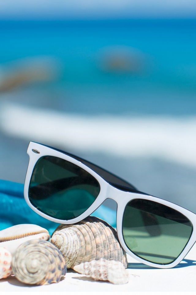 man made, sunglasses, summer, holiday, shell, vacation, still life