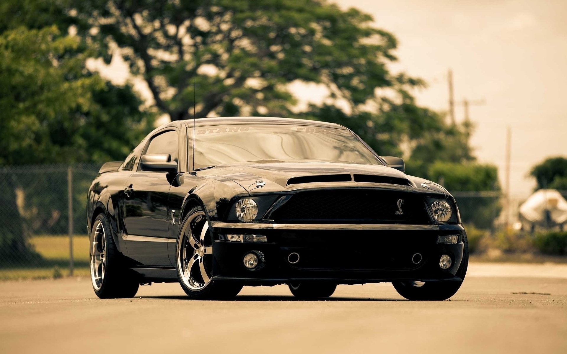 Free download wallpaper Ford Mustang, Vehicles on your PC desktop