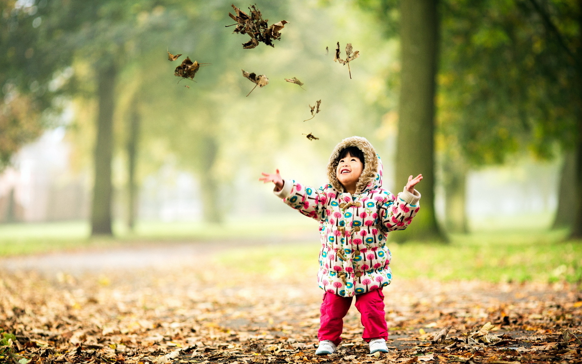 Handy-Wallpaper Natur, Herbst, Blatt, Süß, Kind, Fotografie, Jahreszeit kostenlos herunterladen.
