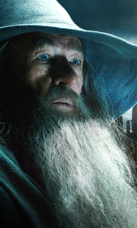 Baixar papel de parede para celular de O Senhor Dos Anéis, Filme, Gandalf, O Hobbit: A Desolação De Smaug gratuito.