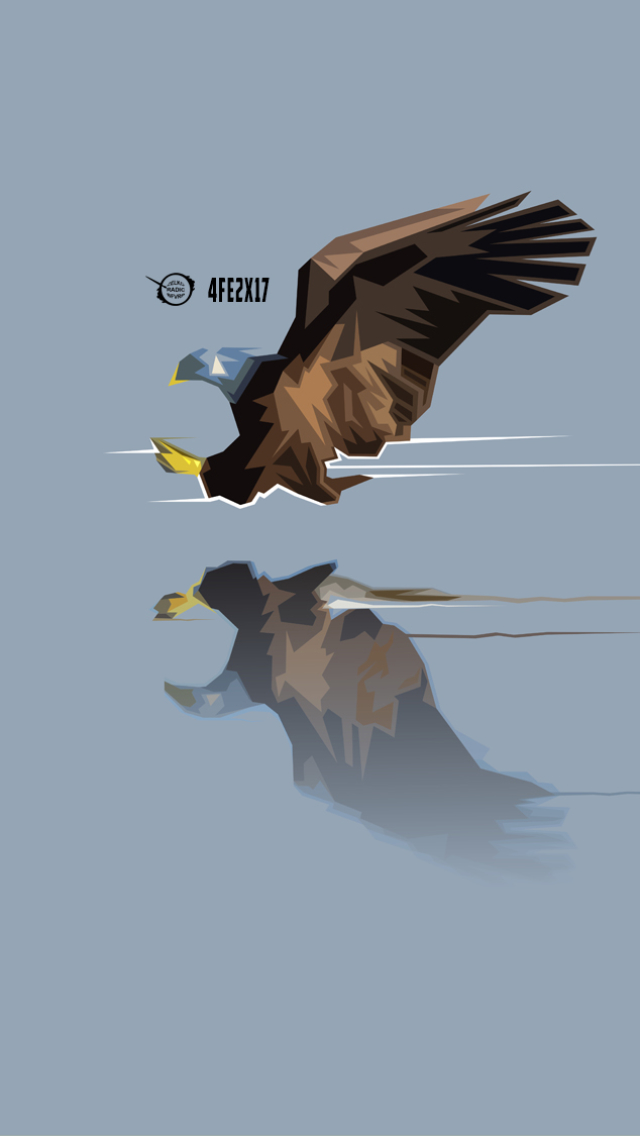 Handy-Wallpaper Tiere, Vögel, Adler, Weißkopfseeadler, Angeln, Spiegelung, Betrachtung kostenlos herunterladen.