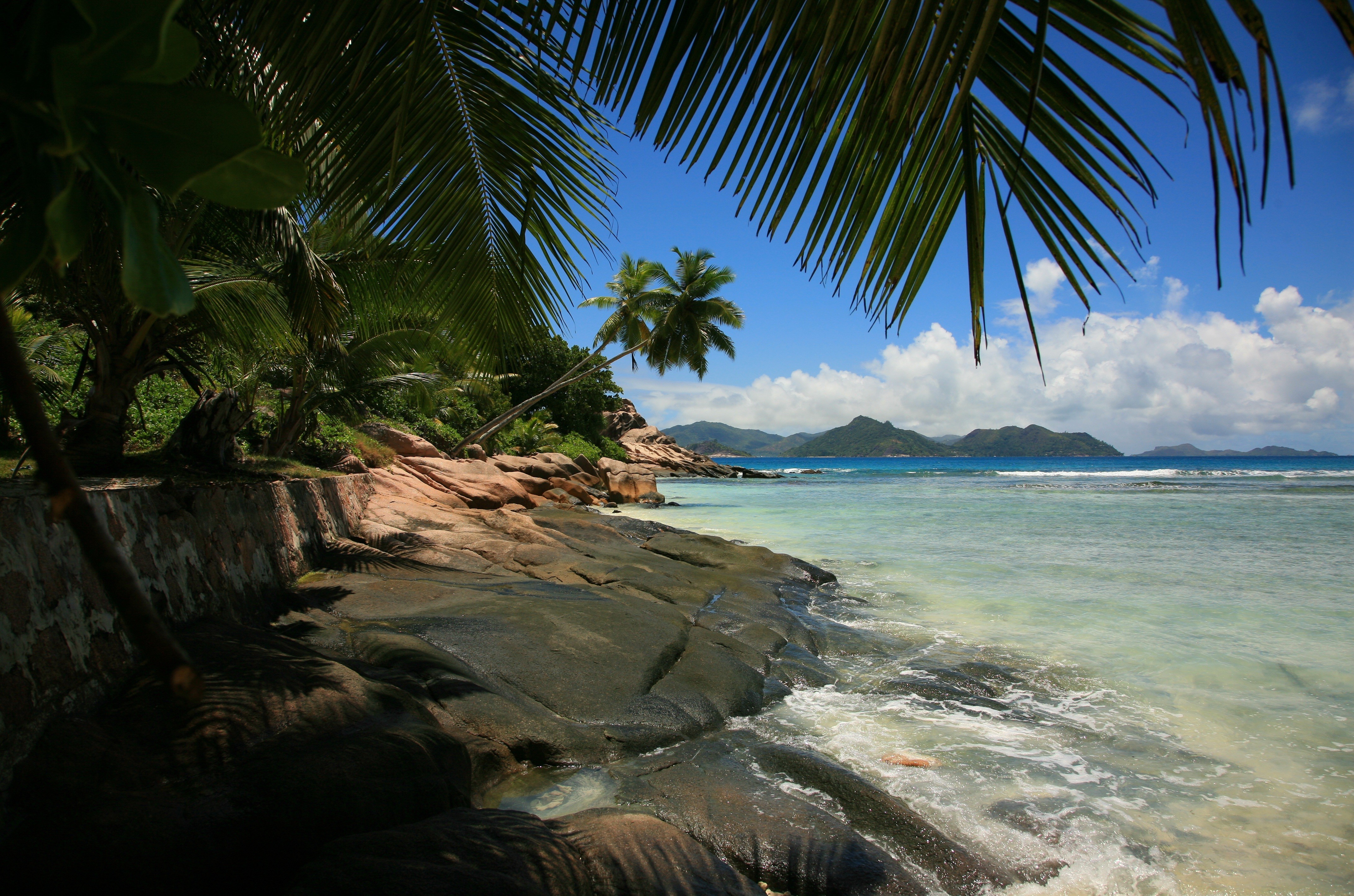 Download mobile wallpaper Sea, Earth, Tropics, Palm Tree, Seashore for free.