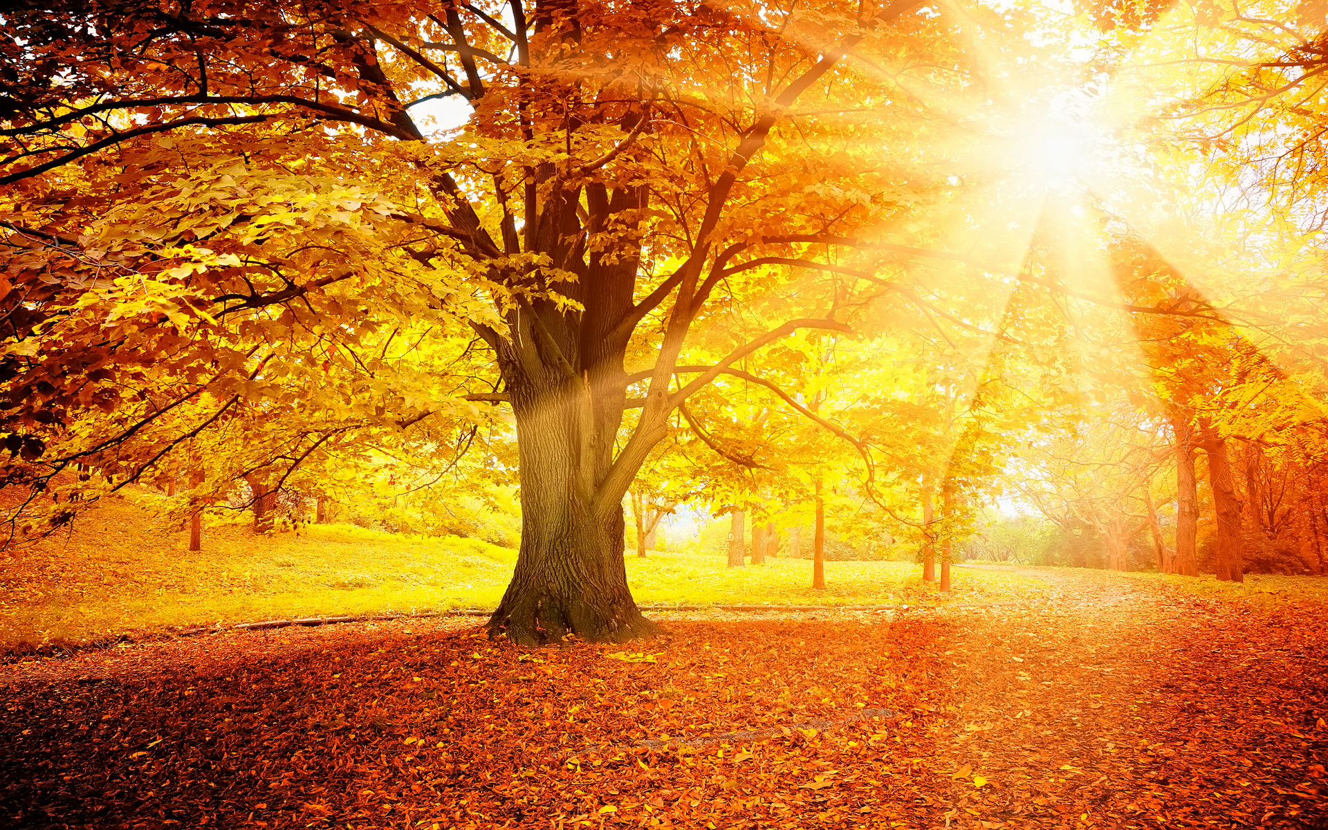 Download mobile wallpaper Fall, Earth for free.