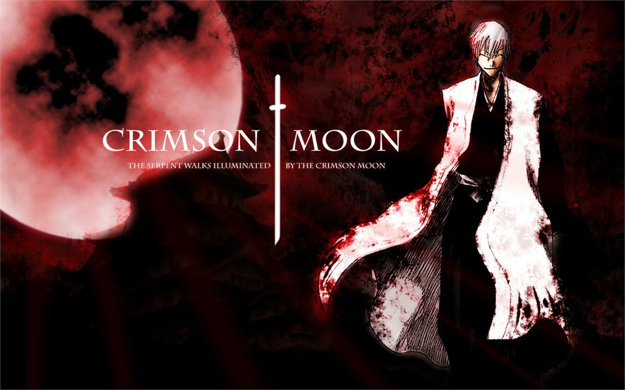 Handy-Wallpaper Bleach, Animes, Gin Ichimaru kostenlos herunterladen.