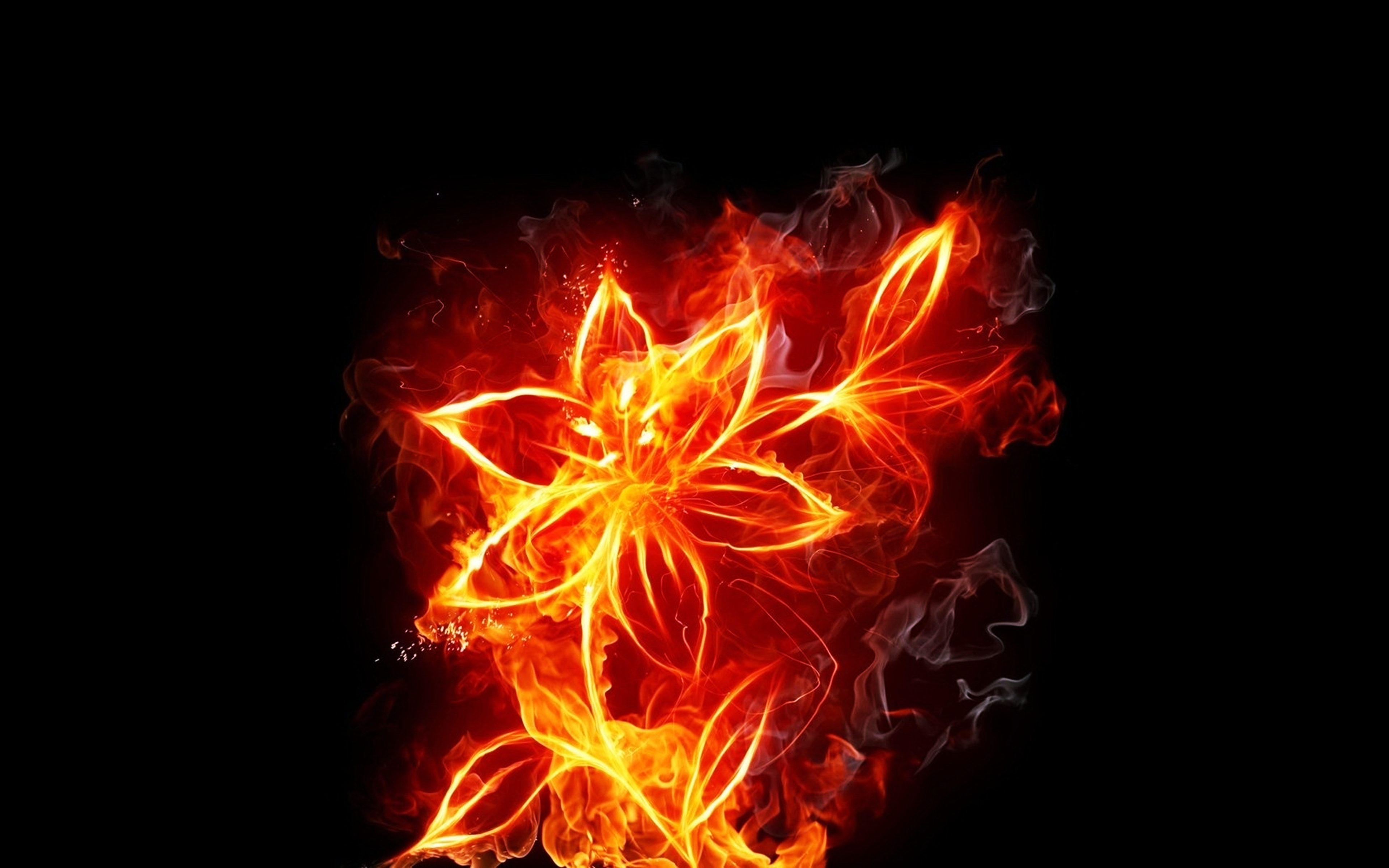 Download mobile wallpaper Smoke, Flowers, Flower, Fire, Artistic for free.