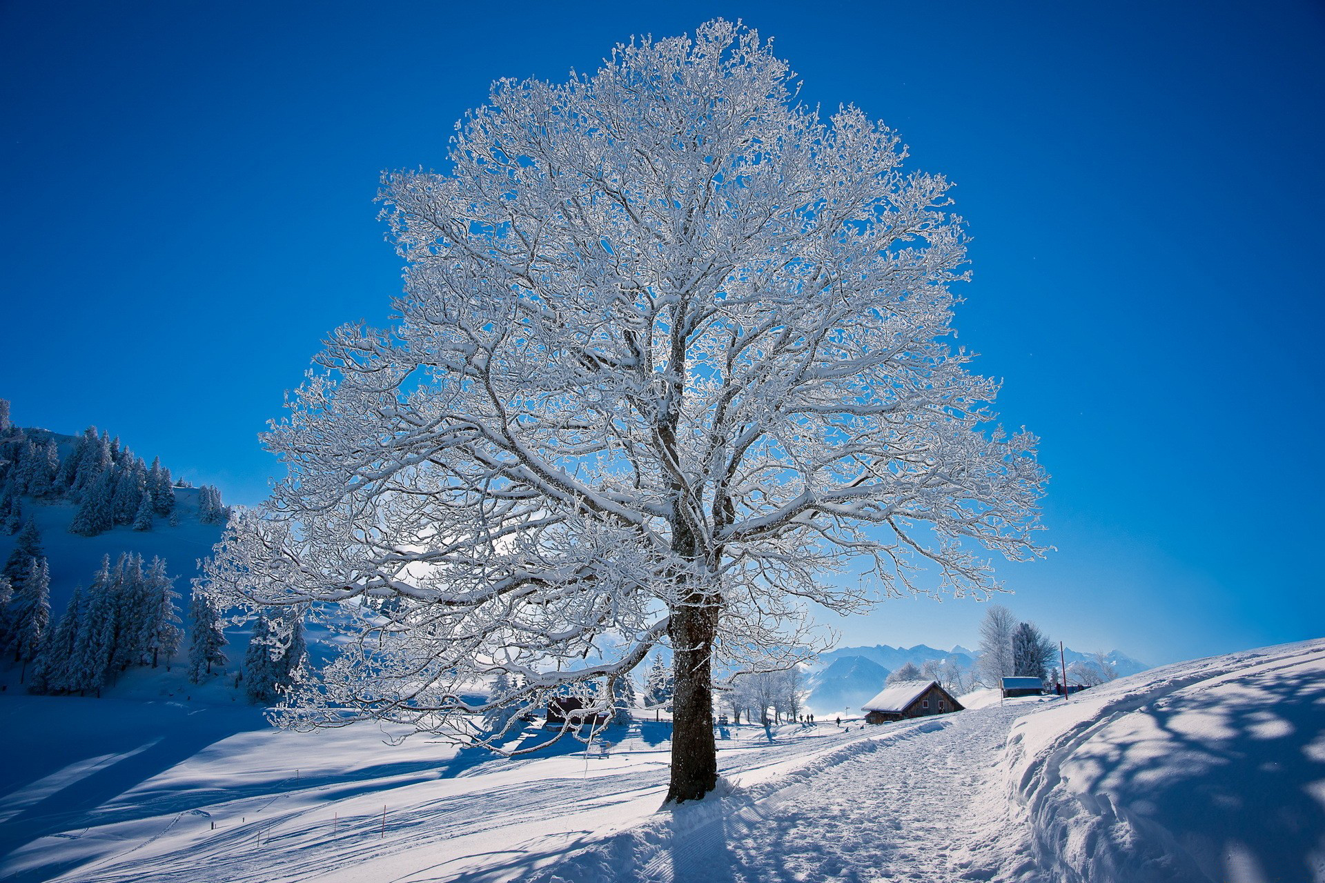 Téléchargez des papiers peints mobile Hiver, Photographie gratuitement.