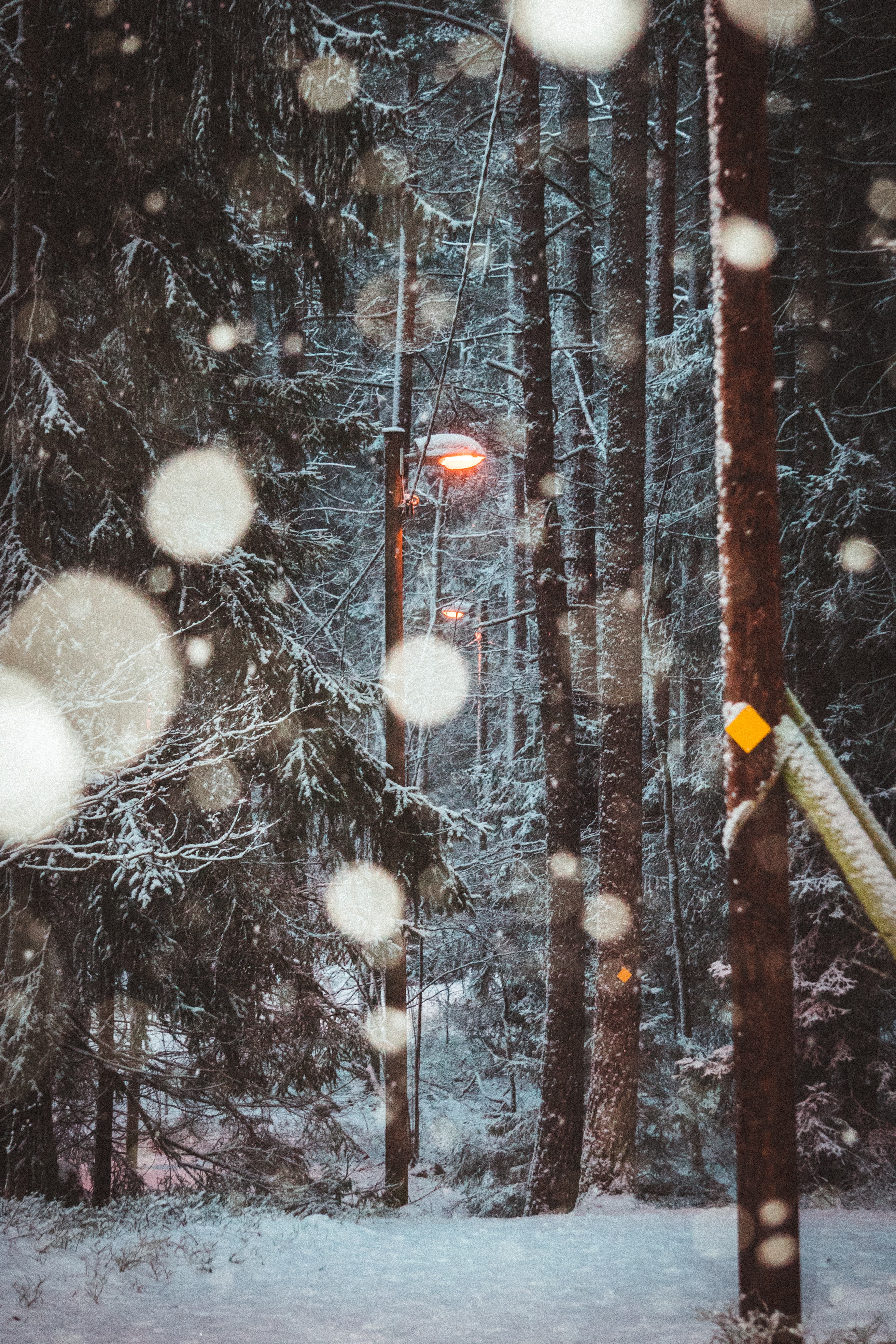 Handy-Wallpaper Bäume, Natur, Schnee, Lampe, Laterne, Winter kostenlos herunterladen.