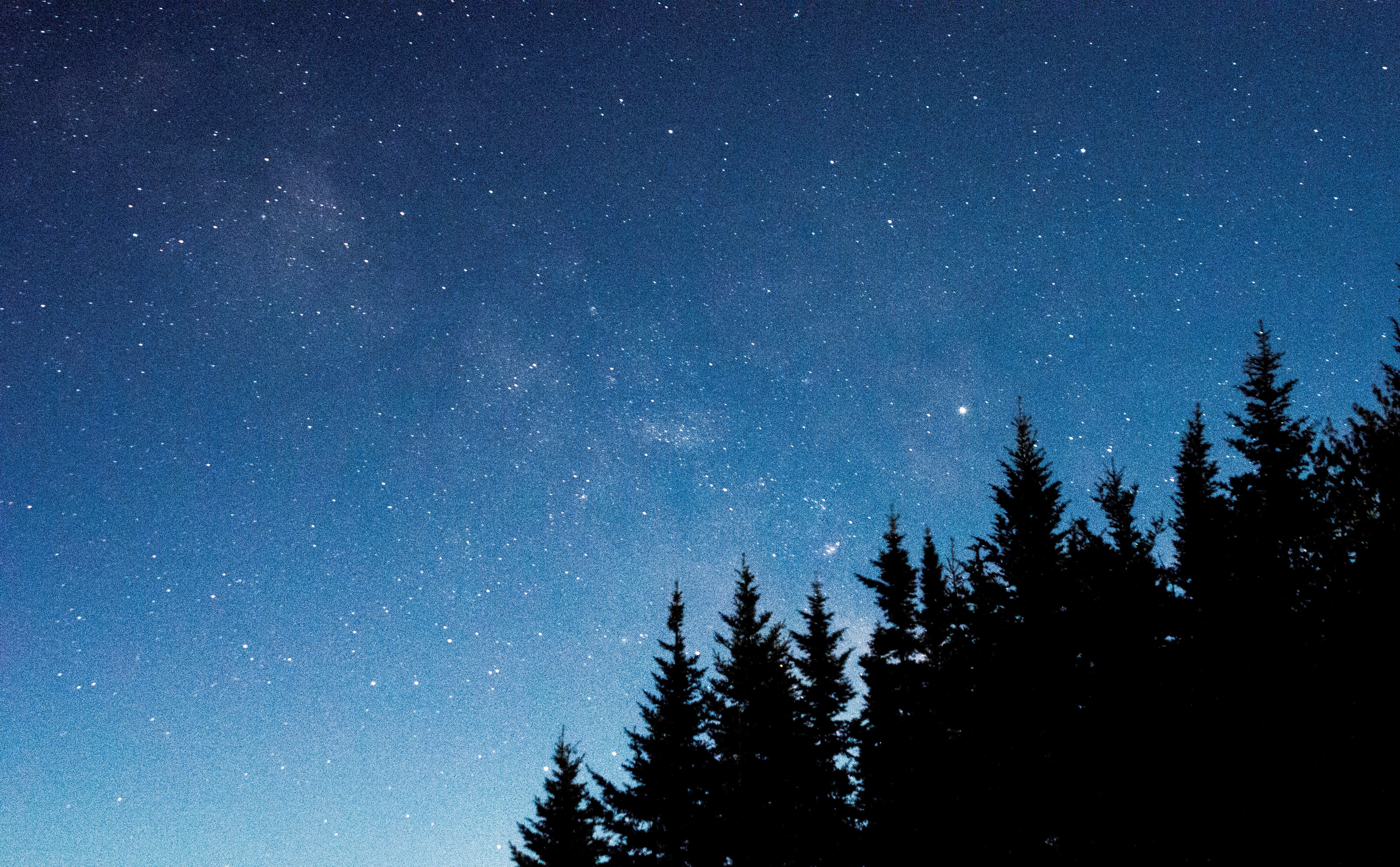 Download mobile wallpaper Fir, Spruce, Trees, Starry Sky, Night, Dark for free.