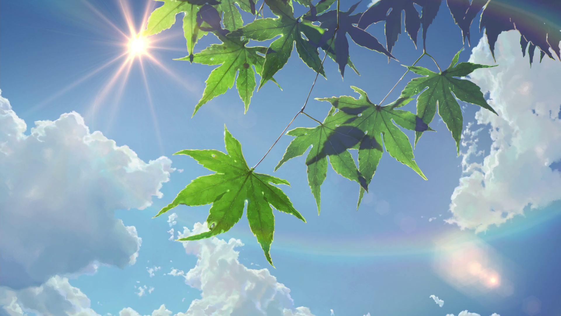 sky, the garden of words, anime, branch, cloud, leaf