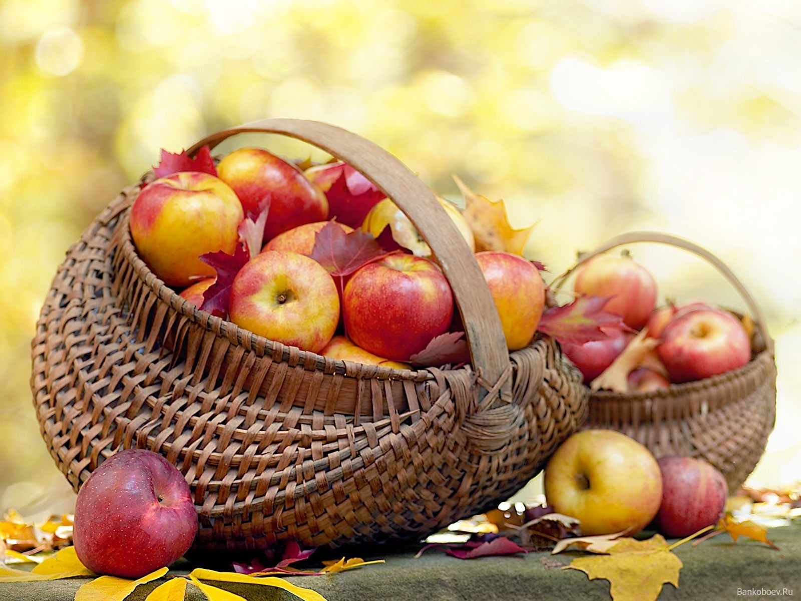 apples, fruits, food iphone wallpaper
