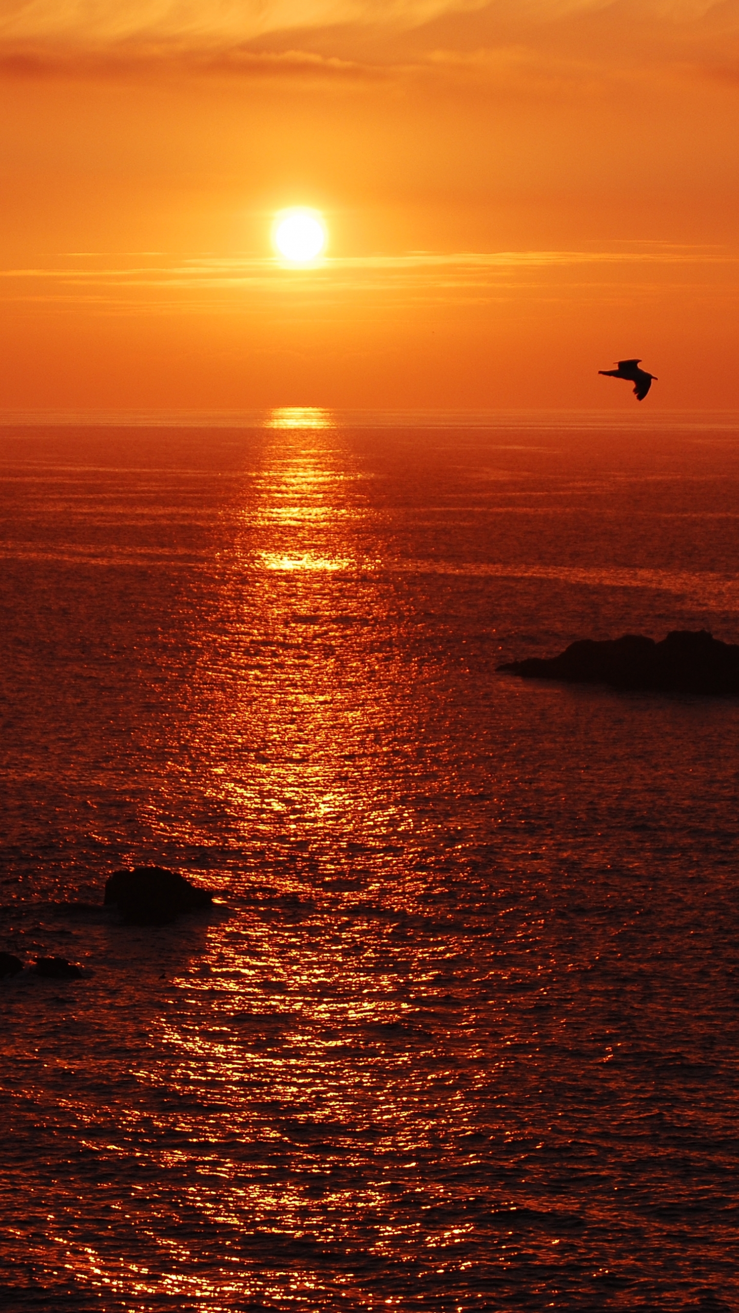 Скачать картинку Море, Океан, Земля/природа, Закат Солнца, Оранжевый Цвет) в телефон бесплатно.