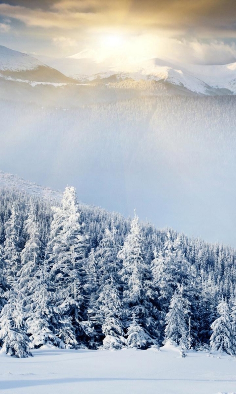 Téléchargez des papiers peints mobile Hiver, Terre/nature gratuitement.