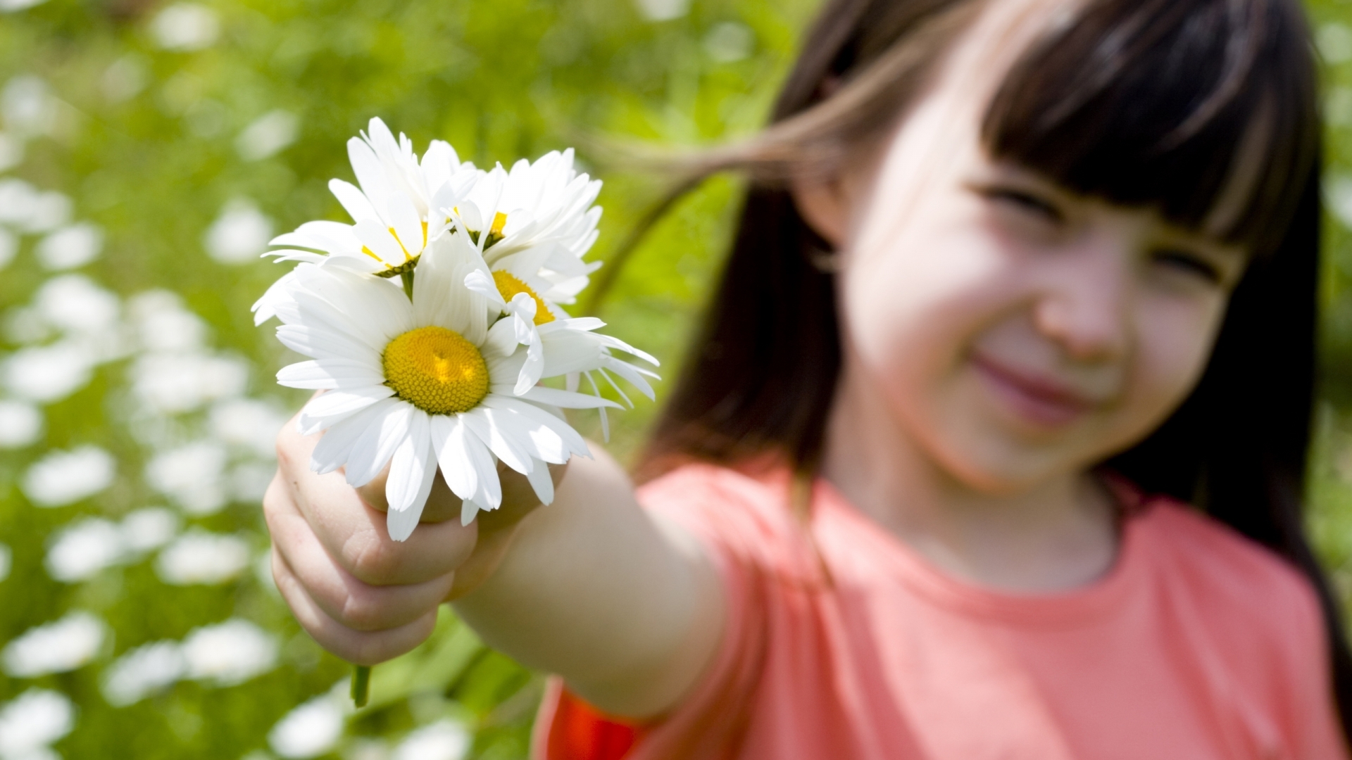 Téléchargez des papiers peints mobile Fleurs, Camomille, Plantes, Personnes, Enfants gratuitement.