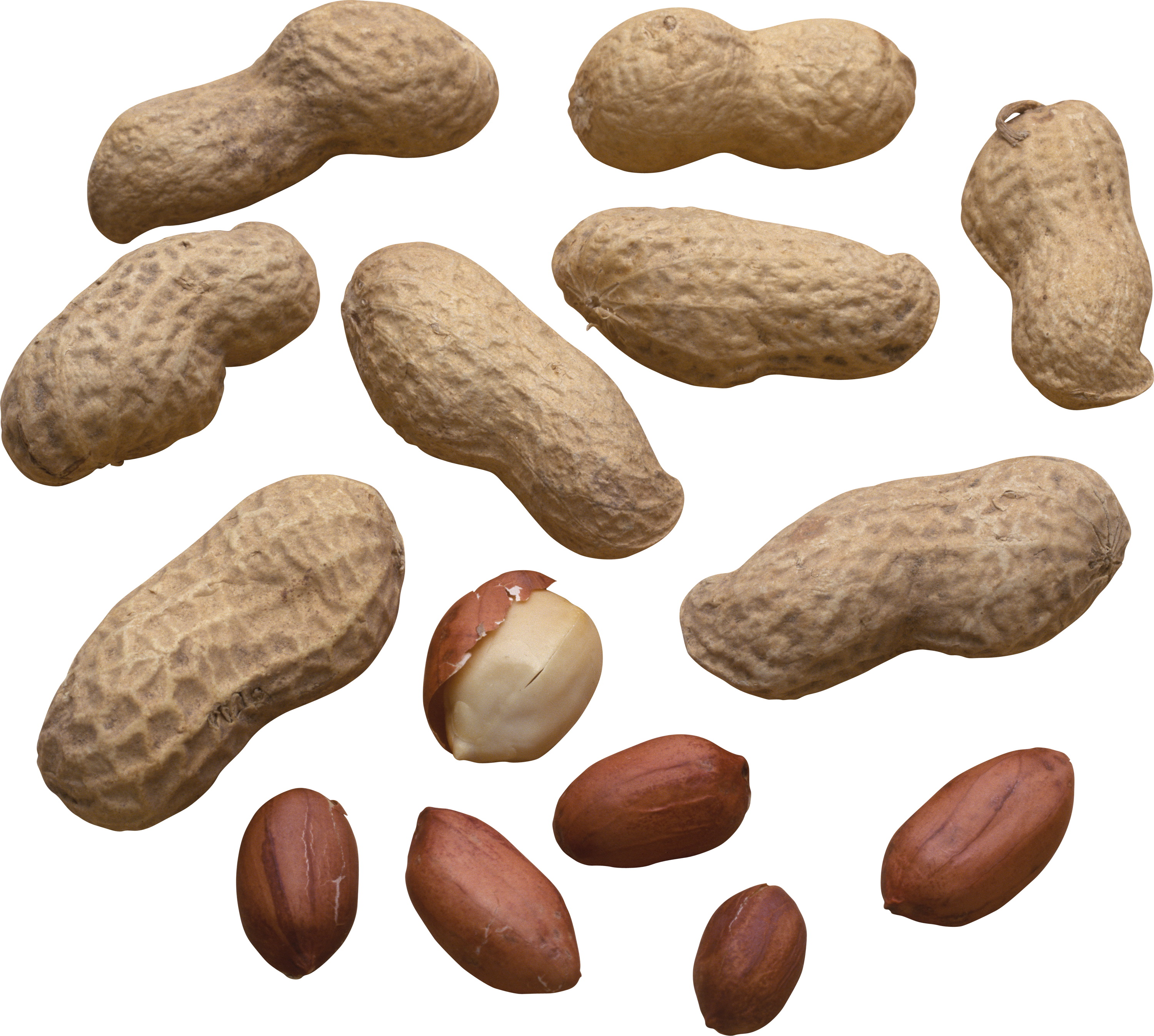 food, peanut