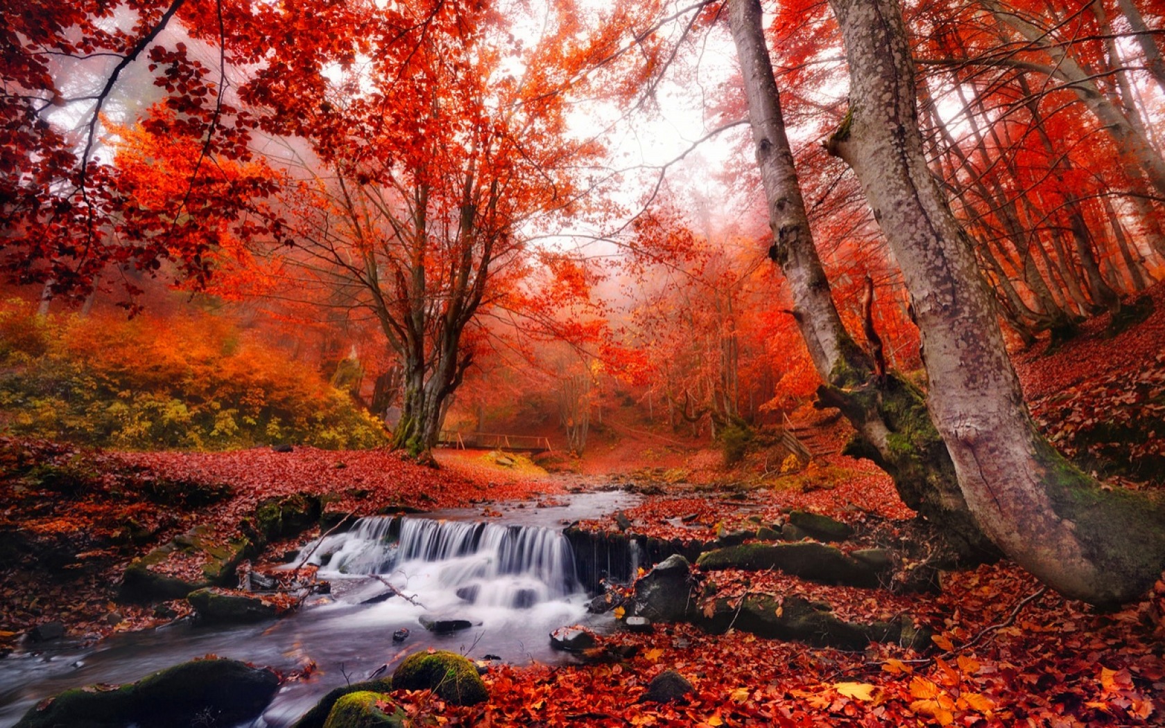 Handy-Wallpaper Herbst, Wasserfall, Wald, Baum, Erde, Erde/natur kostenlos herunterladen.