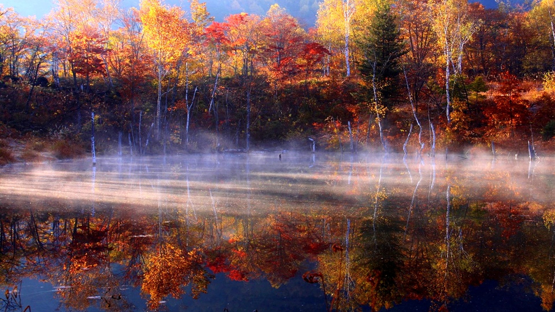 Descarga gratuita de fondo de pantalla para móvil de Pintoresco, Tierra/naturaleza.