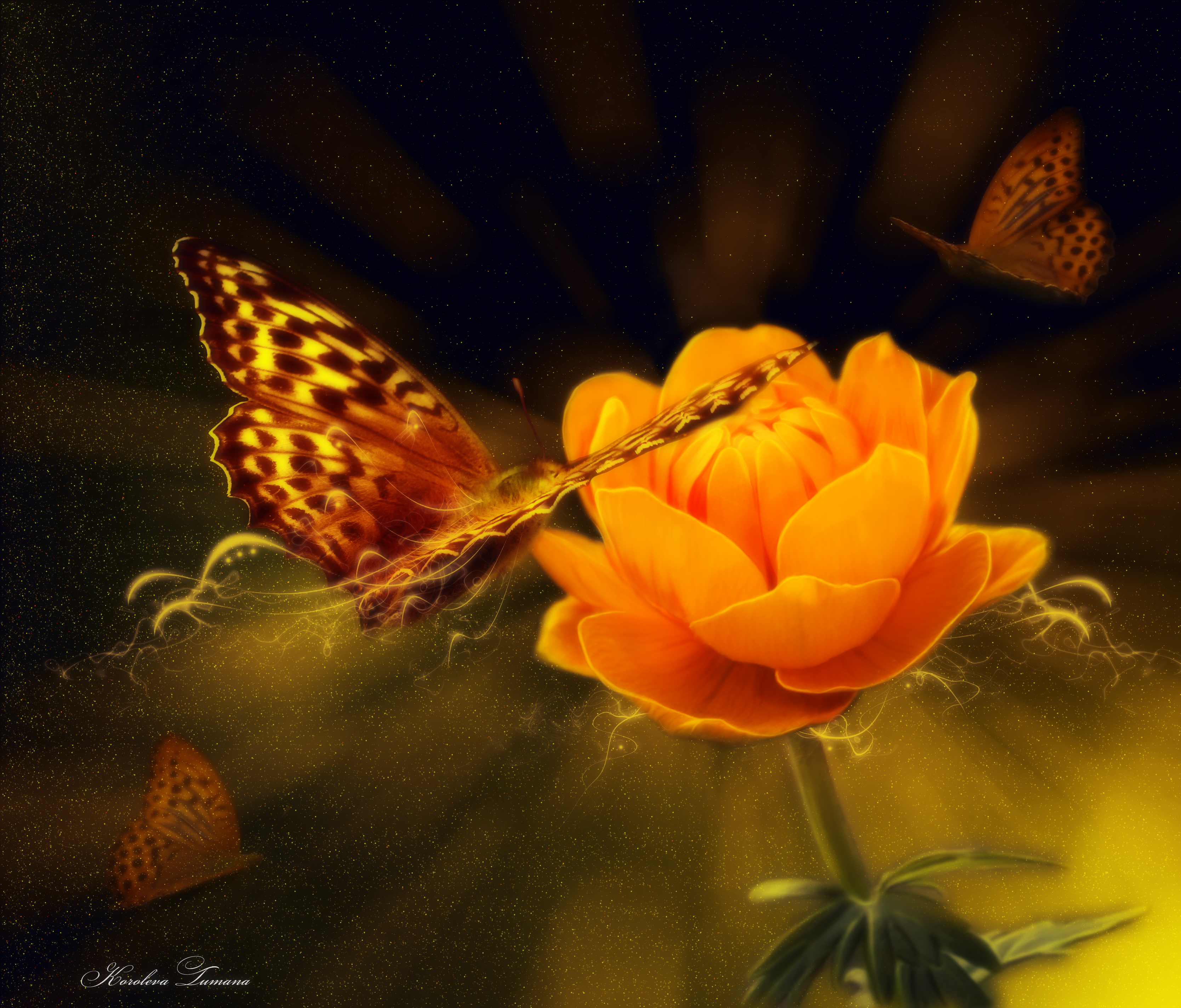 Free download wallpaper Flower, Close Up, Butterfly, Artistic, Yellow Flower on your PC desktop