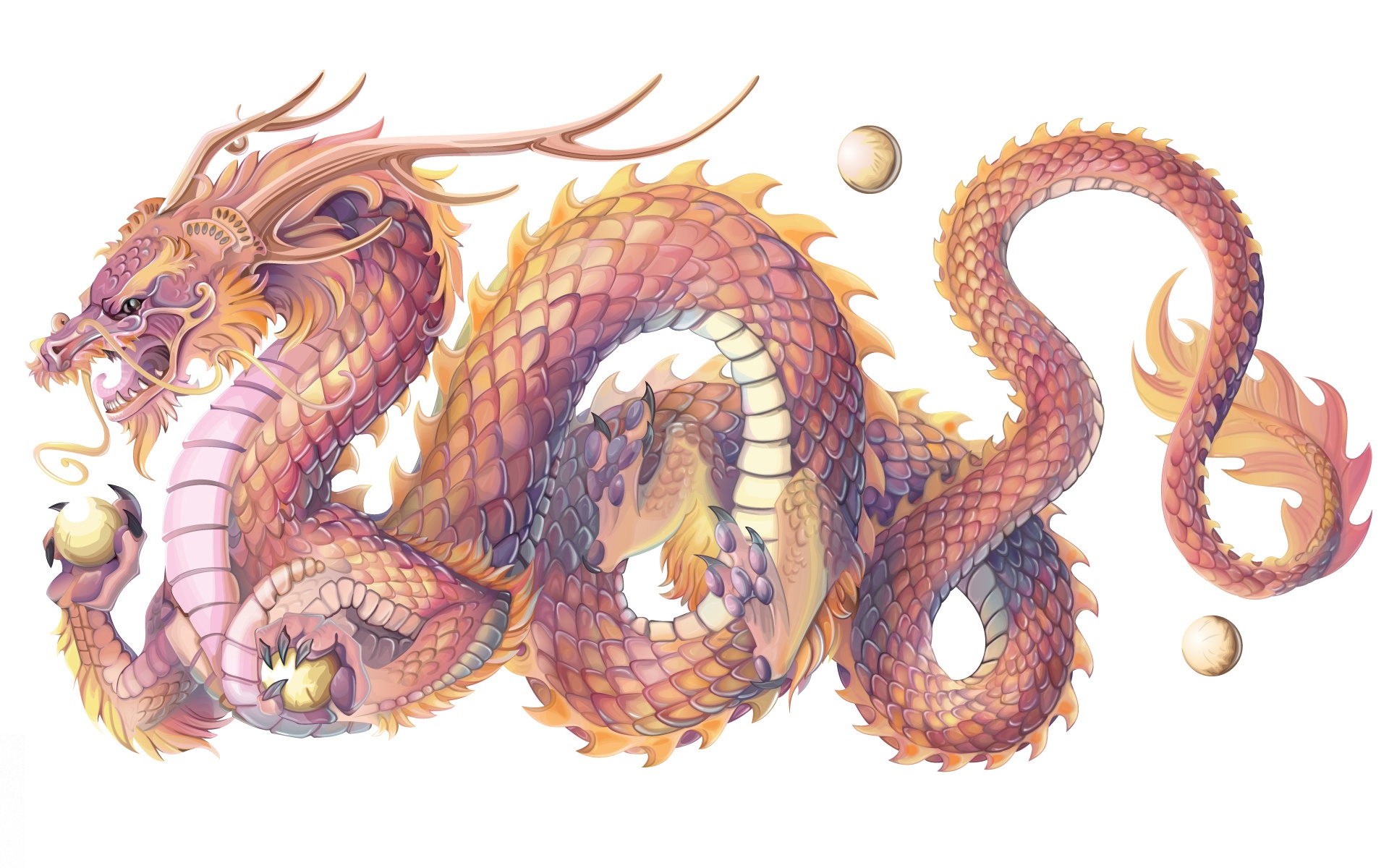 chinese dragon, fantasy, dragon, oriental
