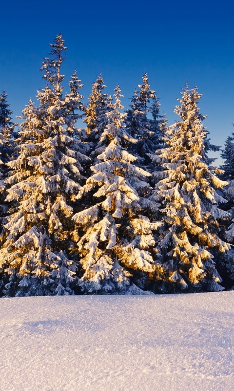 Descarga gratuita de fondo de pantalla para móvil de Invierno, Tierra/naturaleza.