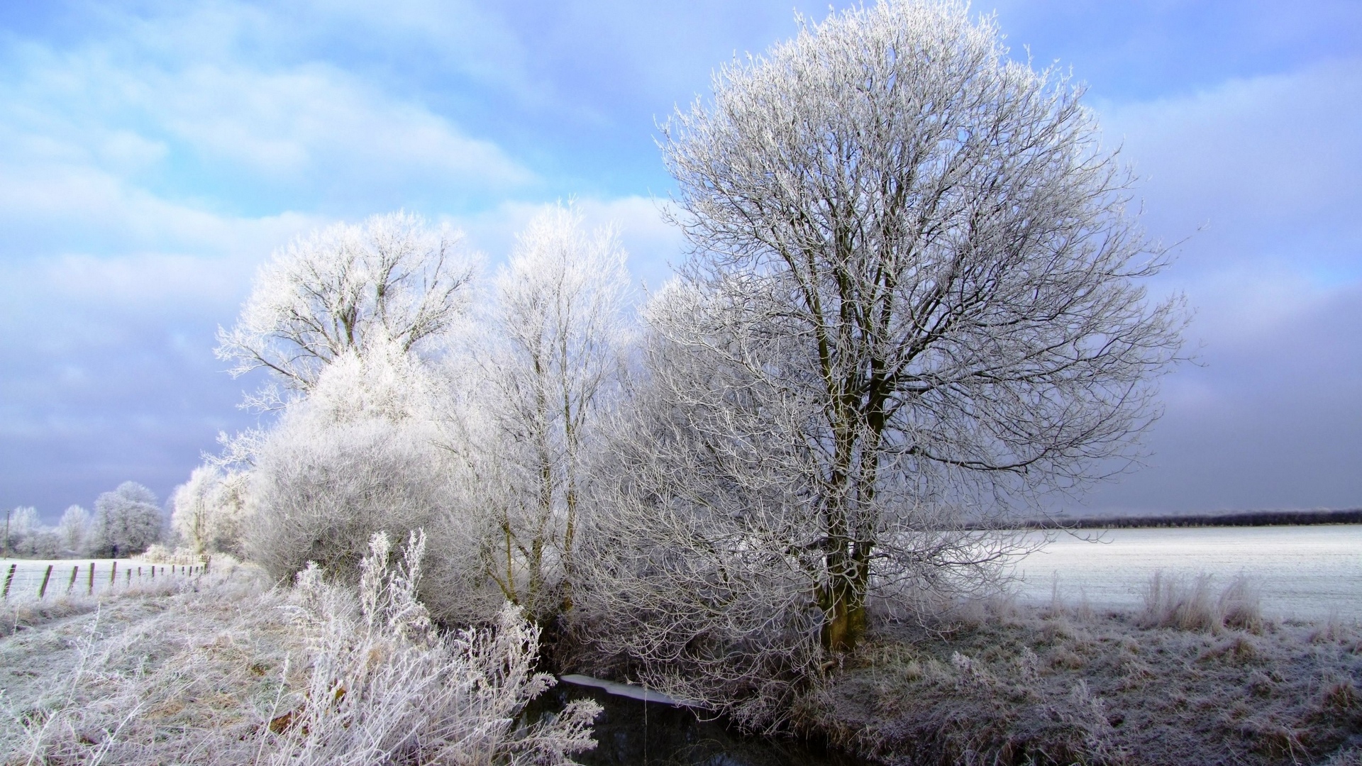 Handy-Wallpaper Winter, Erde/natur kostenlos herunterladen.