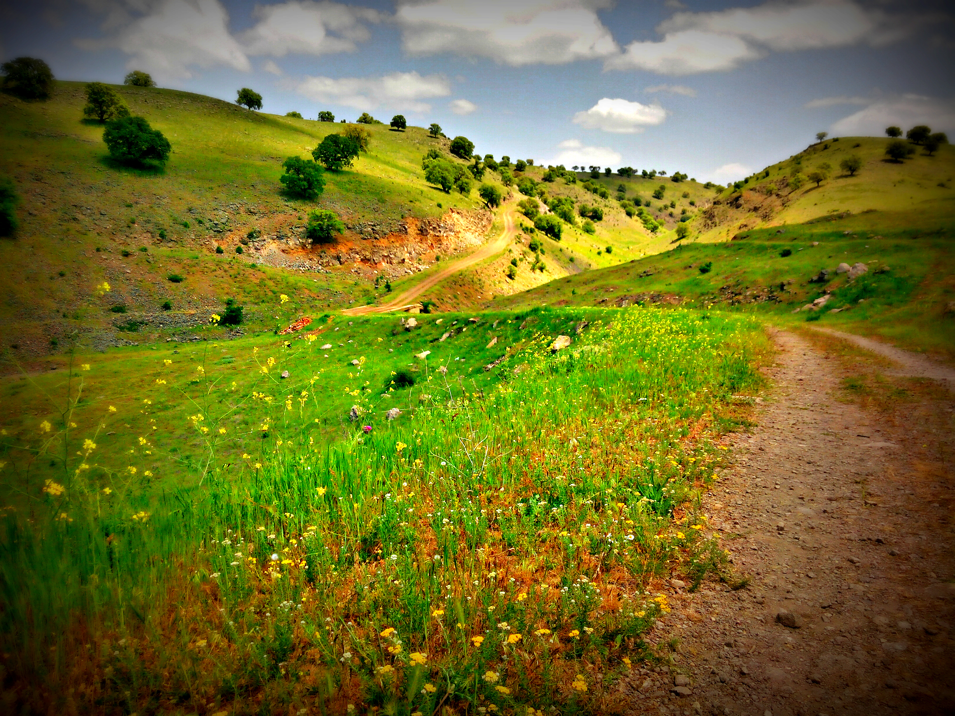 Handy-Wallpaper Landschaft, Pfad, Erde/natur kostenlos herunterladen.