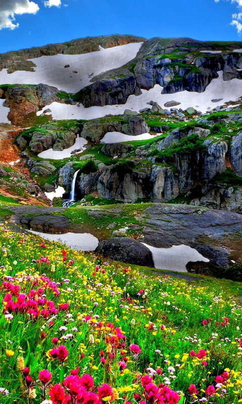 Скачать картинку Пейзаж, Снег, Гора, Цветок, Земля, Поле, Весна, Земля/природа в телефон бесплатно.