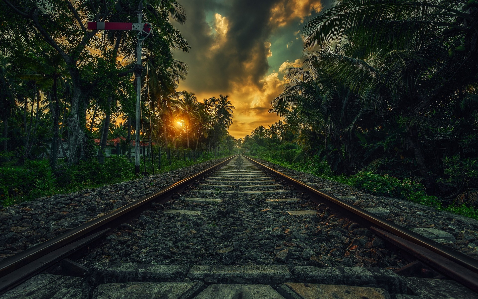 Free download wallpaper Sunset, Sky, Cloud, Railroad, Man Made, Palm Tree on your PC desktop
