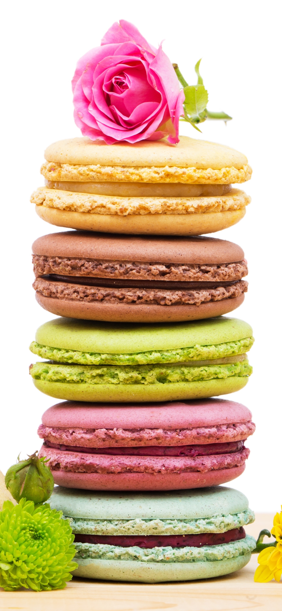 Téléchargez des papiers peints mobile Nourriture, Macaron gratuitement.