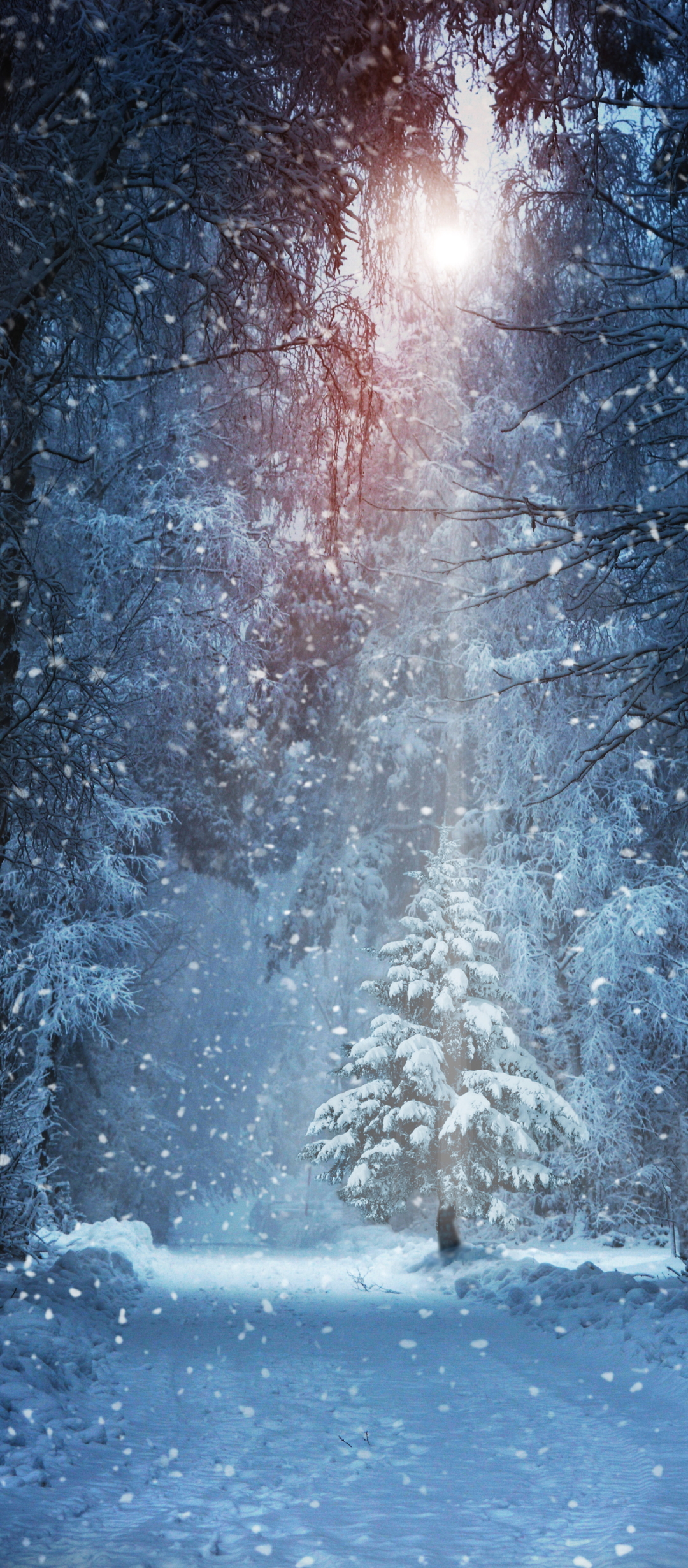 Download mobile wallpaper Winter, Snow, Earth, Snowfall for free.